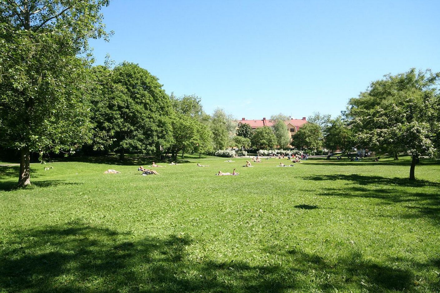 Svandammsparken områdets egna Central Park