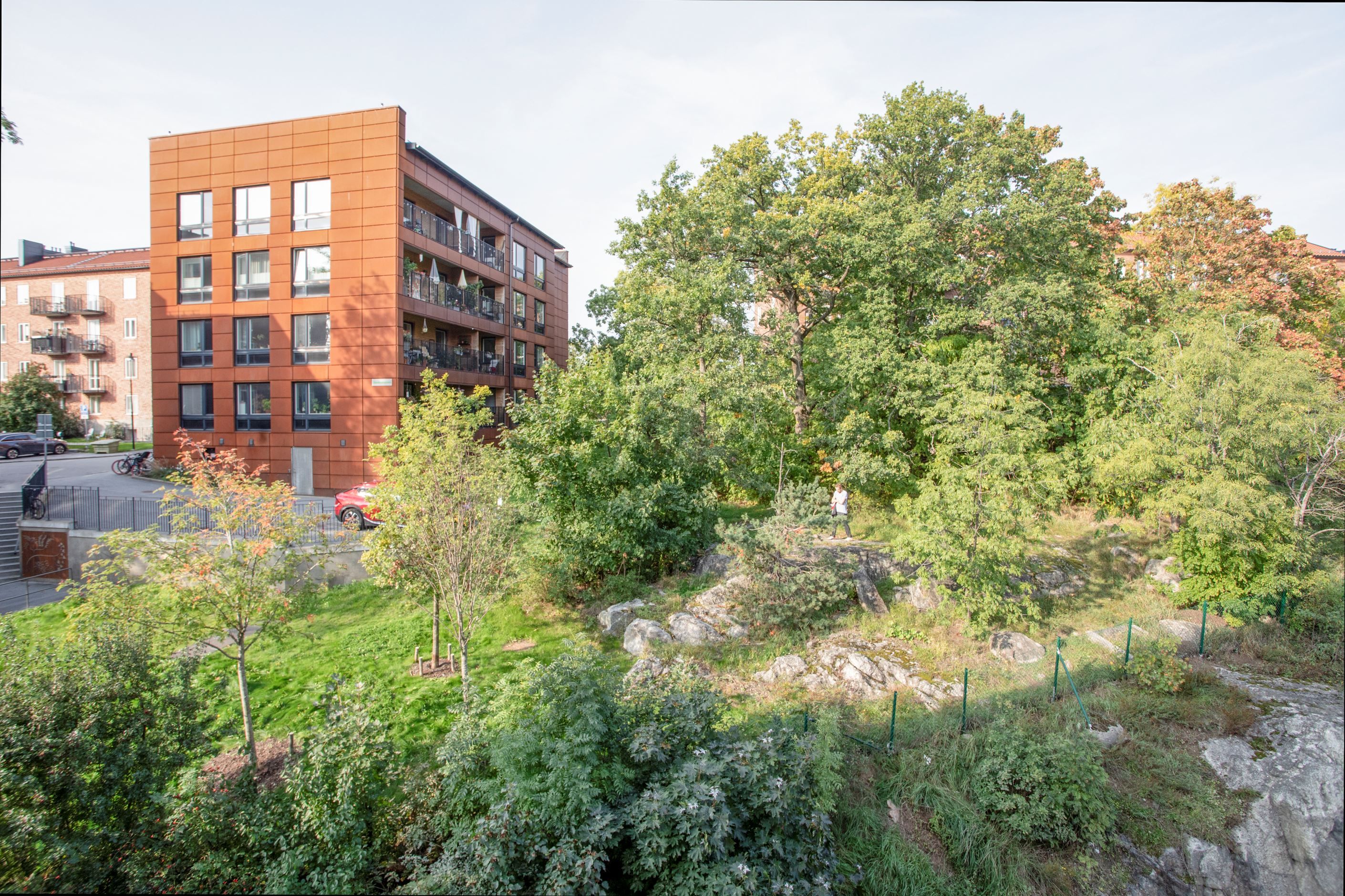 Bergsknallen under sommarhalvåret