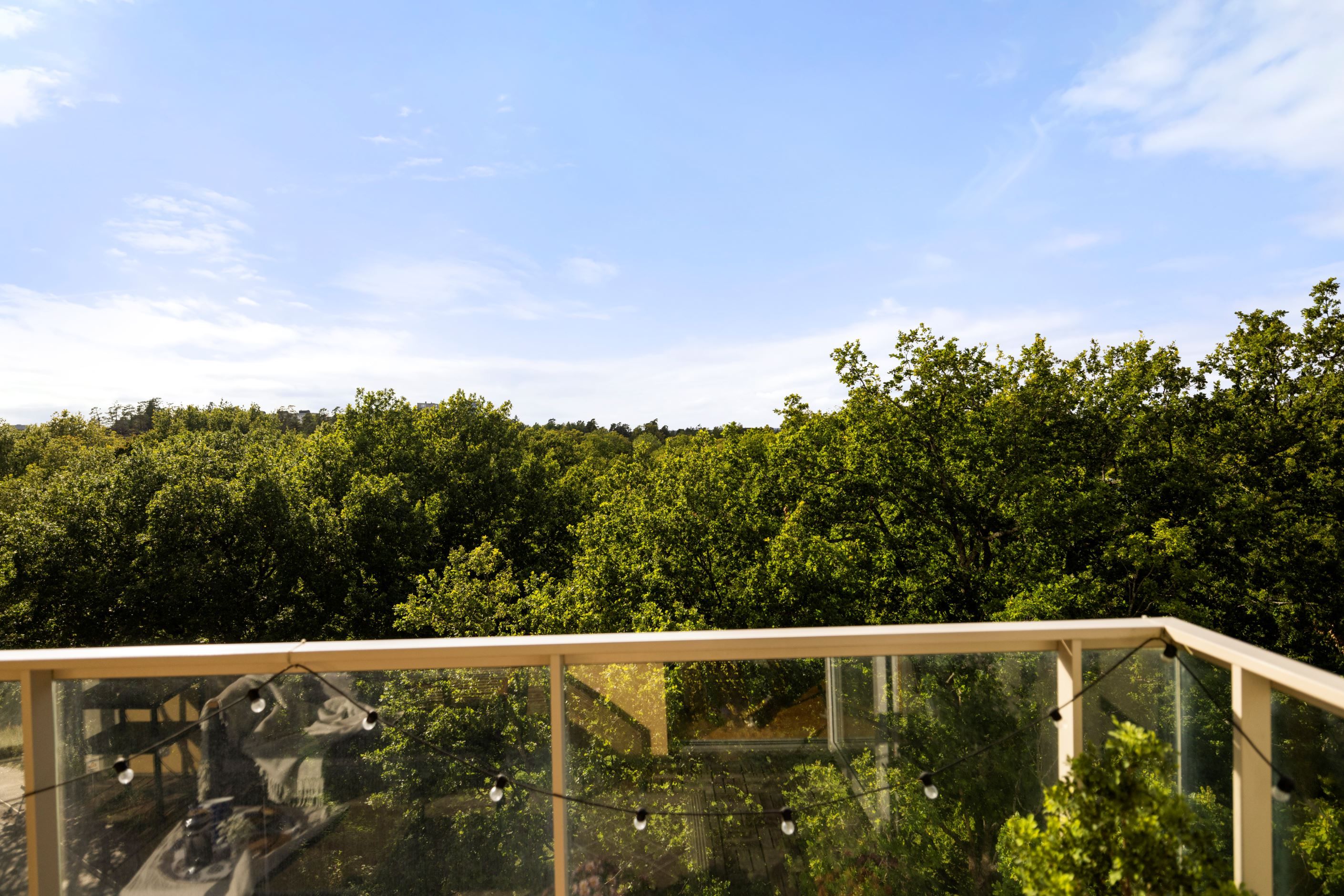 Lummig utsikt från balkongen