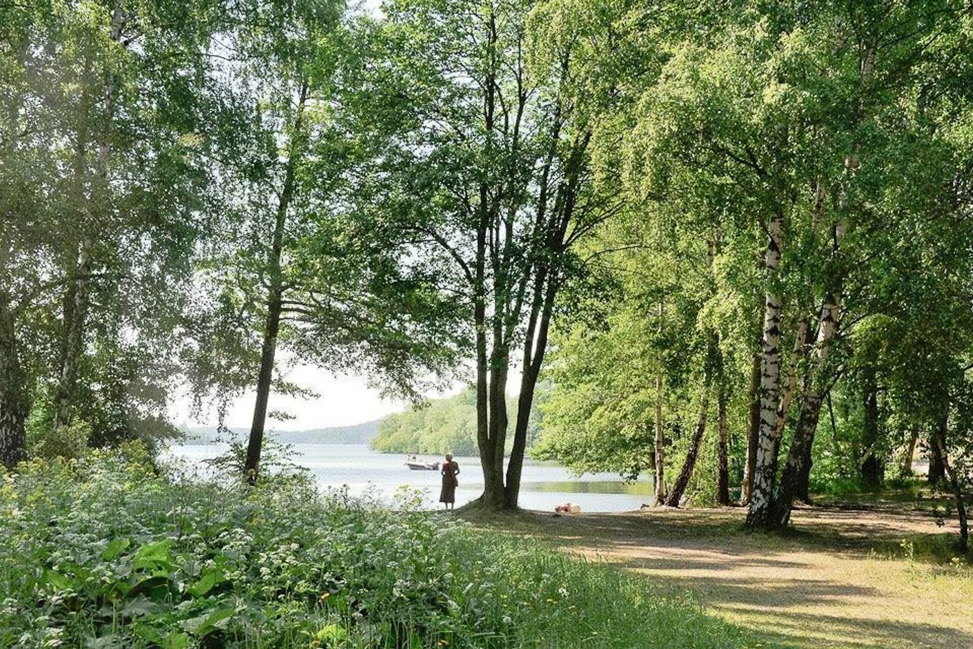 Lågupplöst Vinterviken