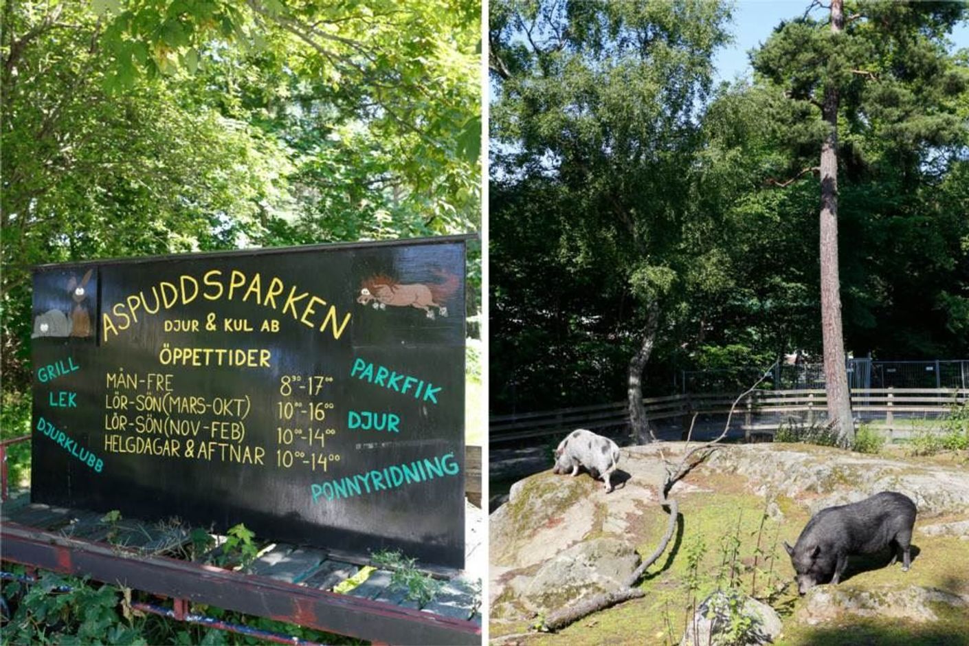 Aspuddsparken