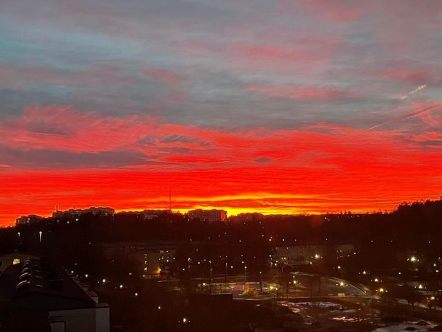 Säljarens bild