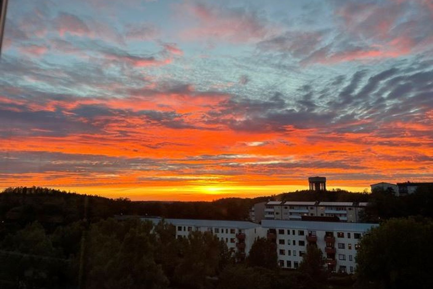 Säljarens bild