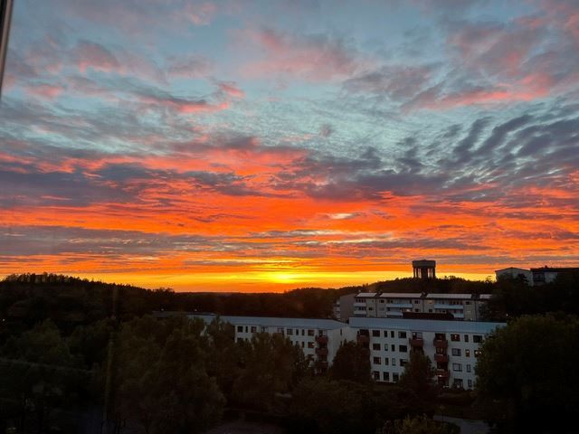 Säljarens bild