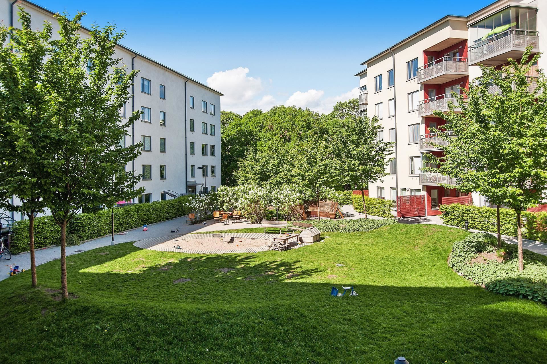 Föreningens innergård