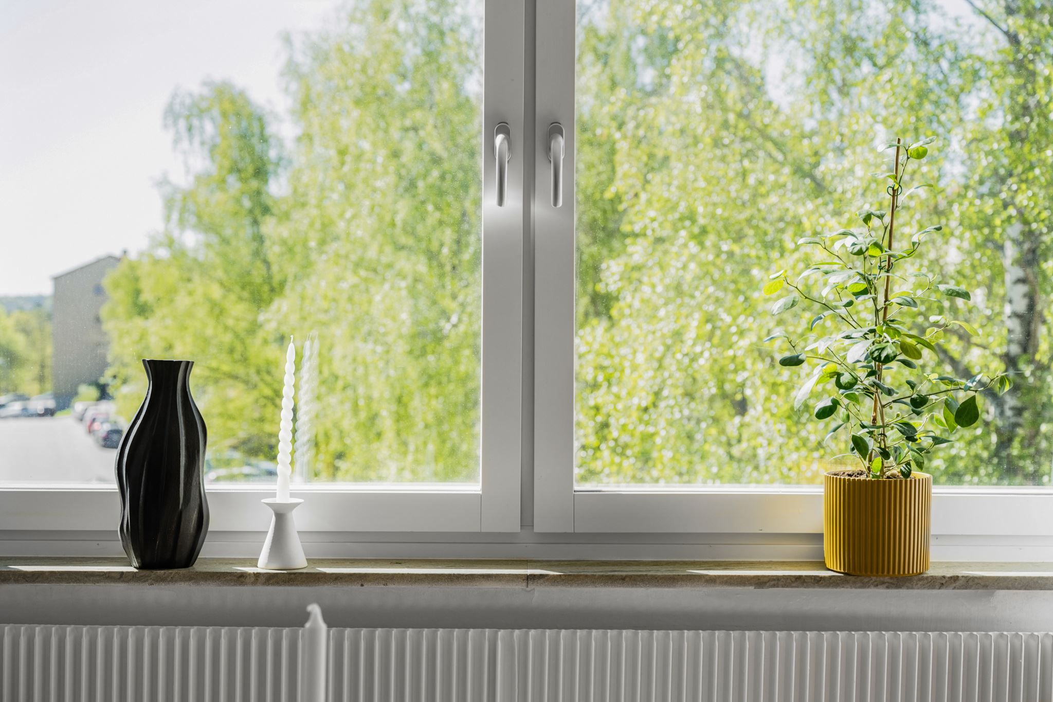 Fönster med utsikt mot grönska