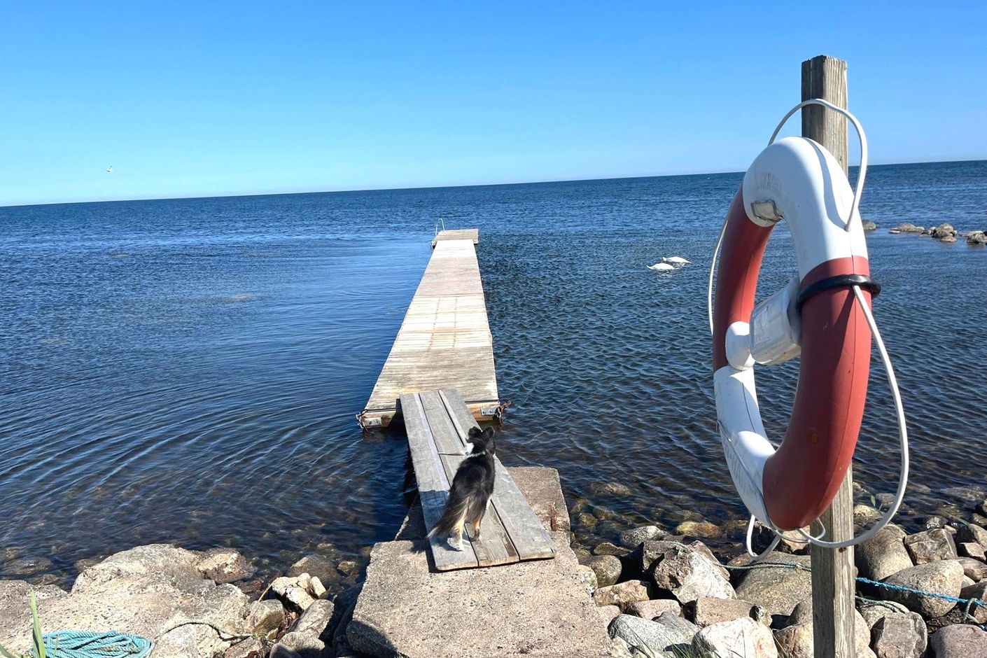 Östra Bredäng – En vacker sommardröm!