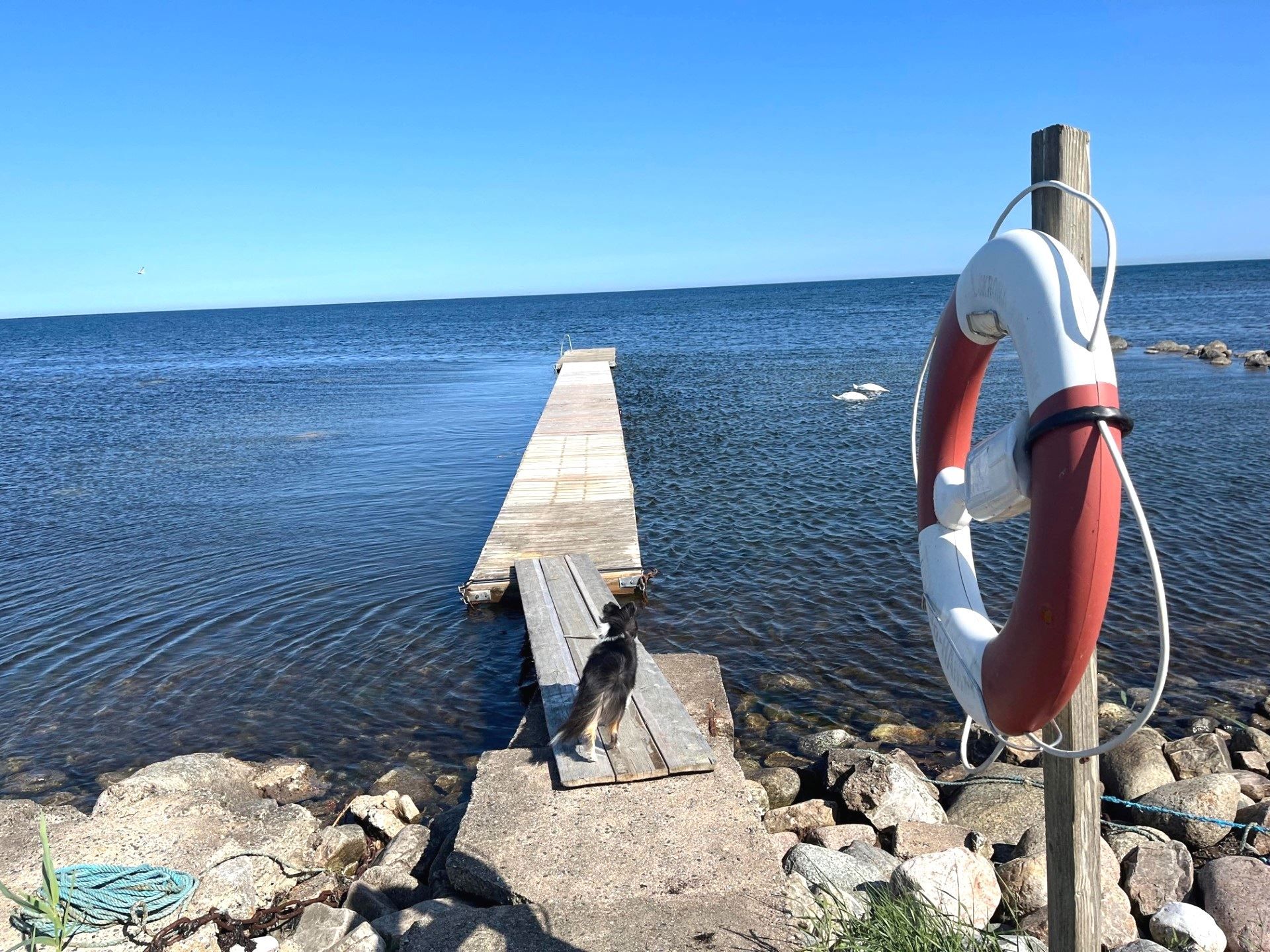 Östra Bredäng – En vacker sommardröm!