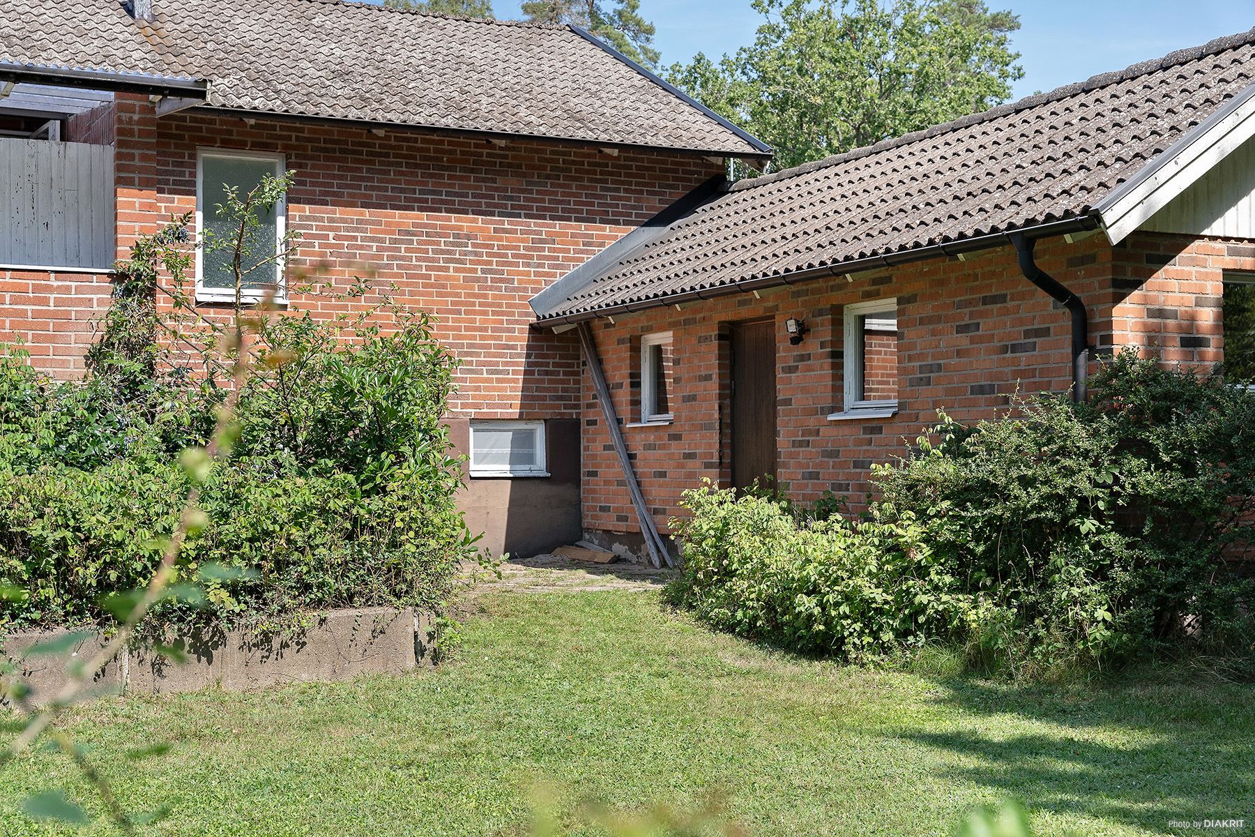 Trädgård