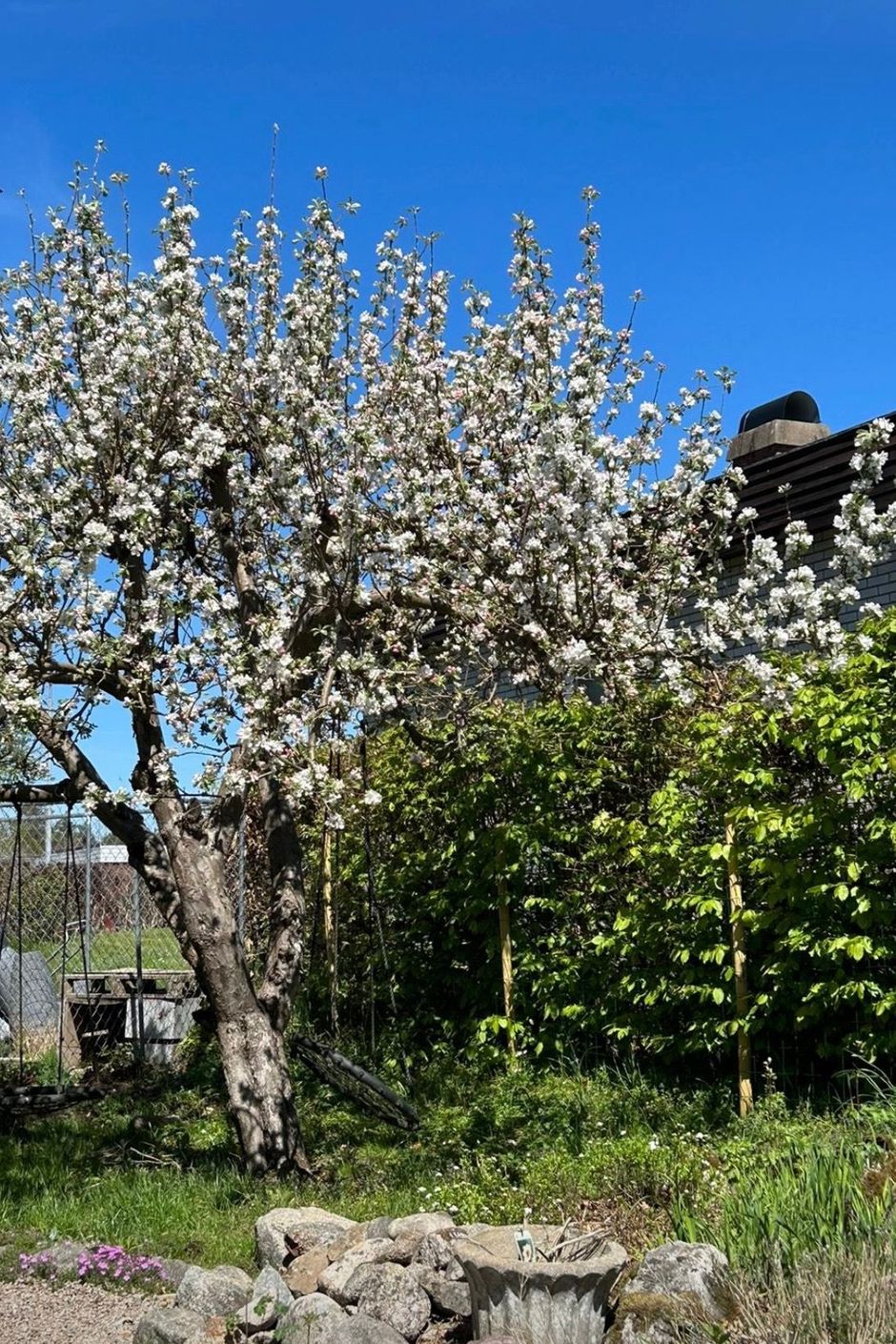 Säljarens egna bild