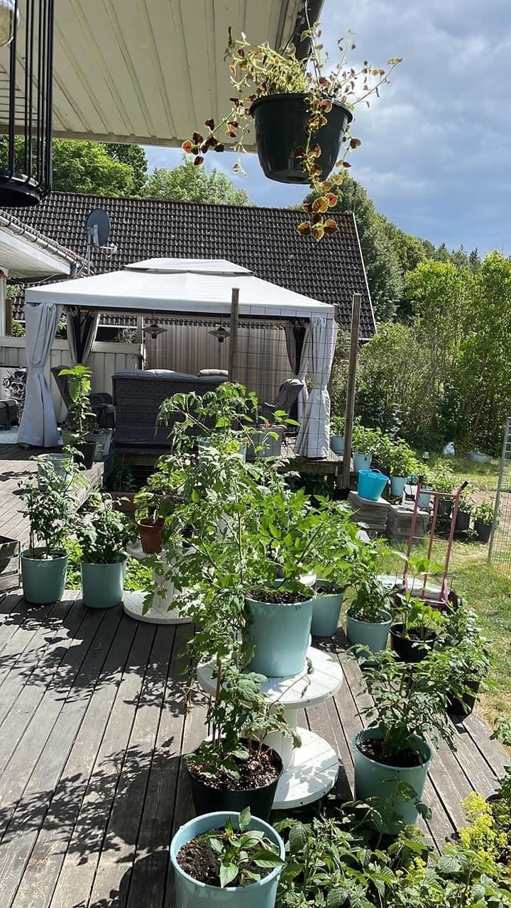 Säljarens egna sommarbilder
