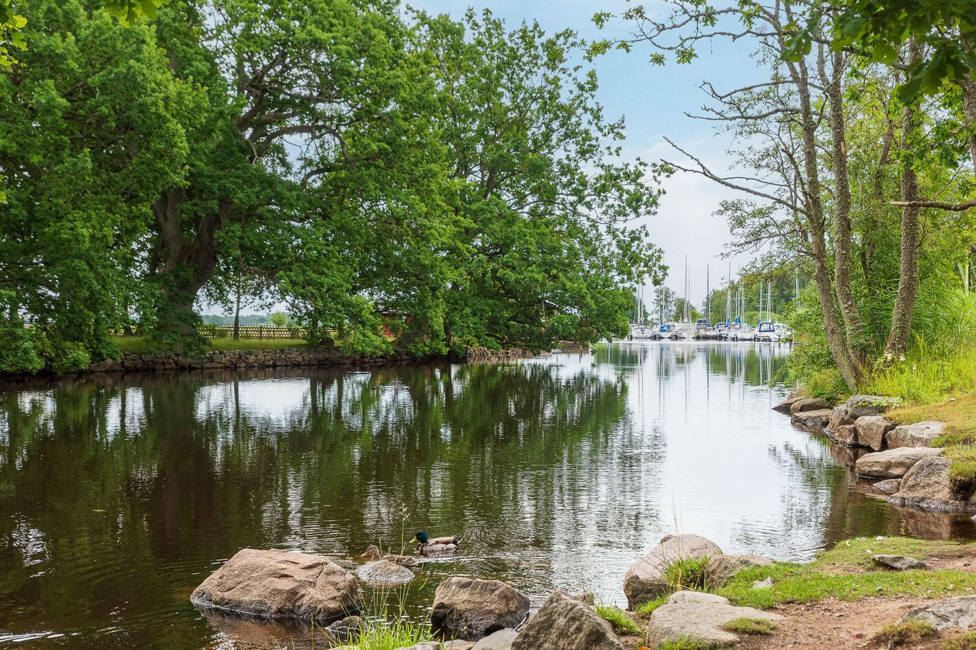 Nättrabyån