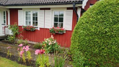 Säljarens egna sommarbilder