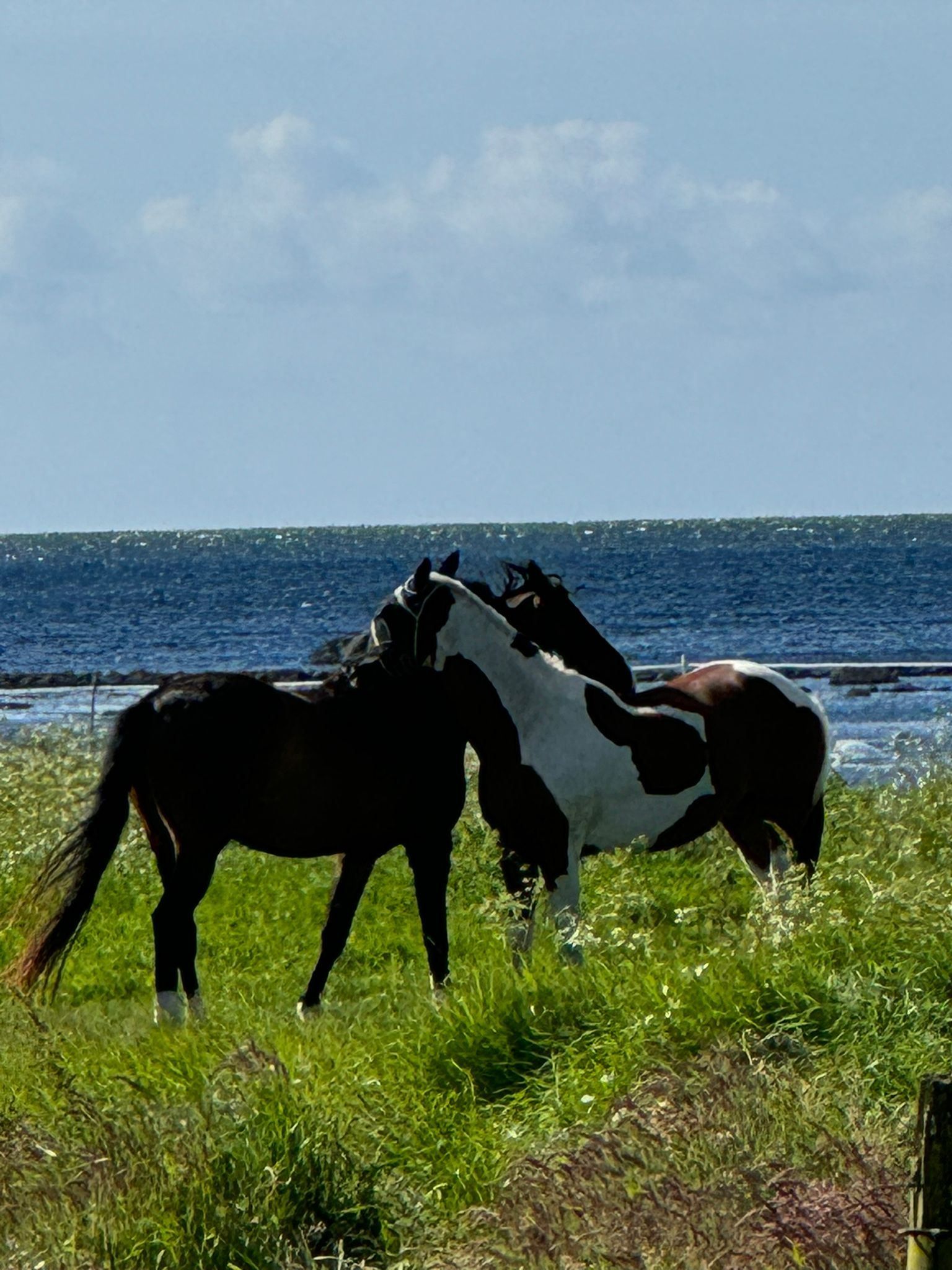 Säljarens egna bilder