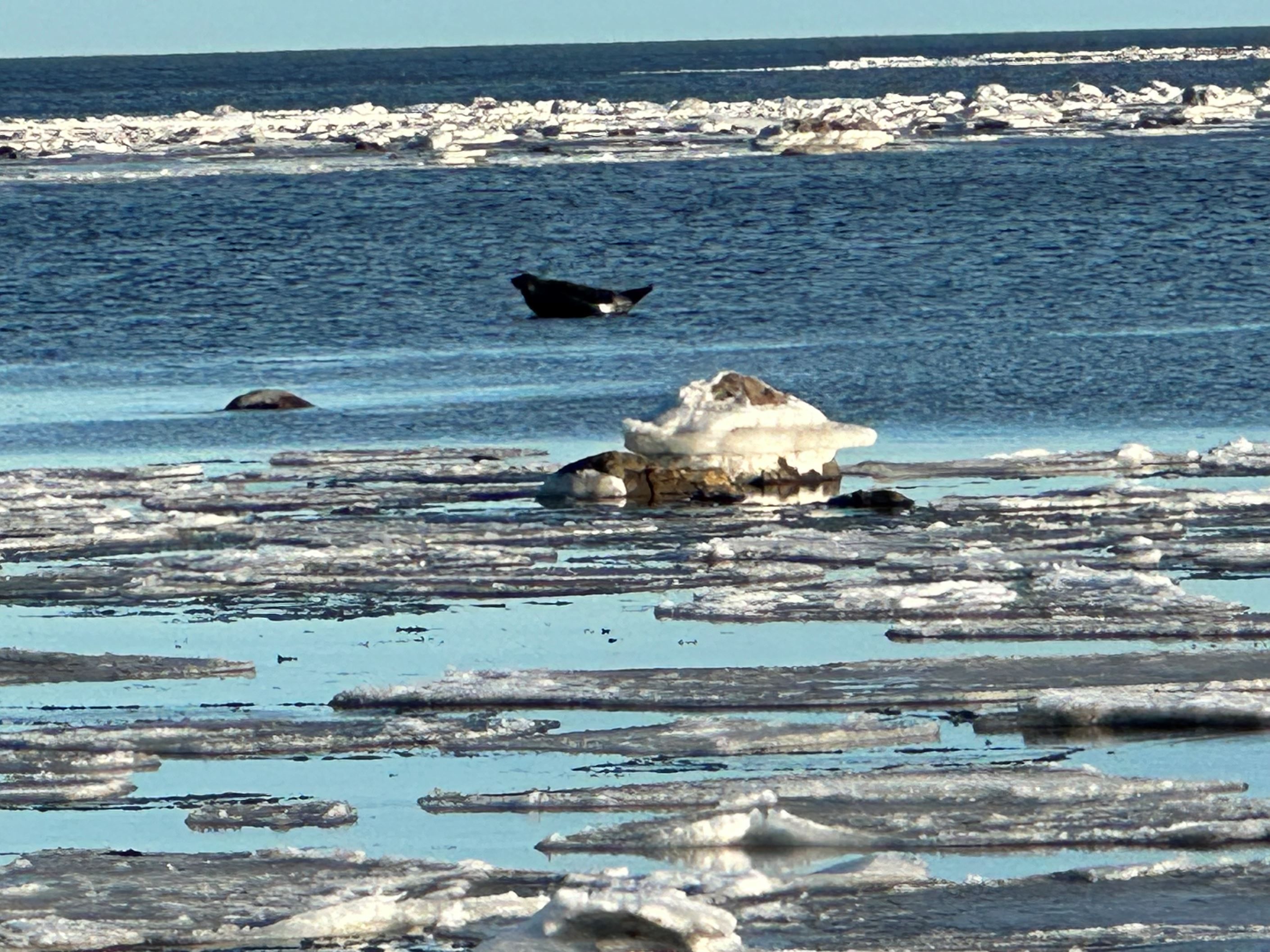 Säljarens egna bilder