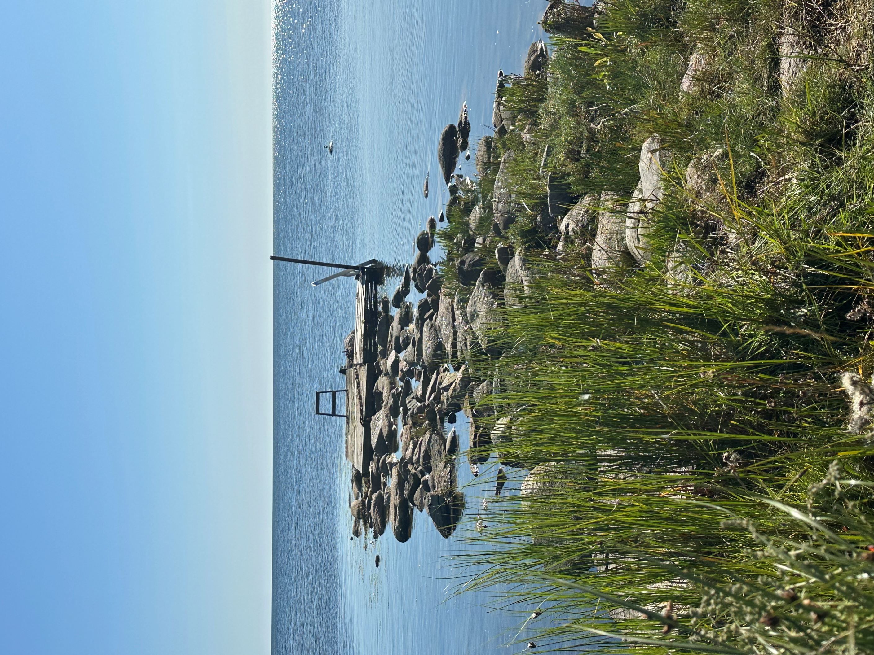 Säljarens egna bilder