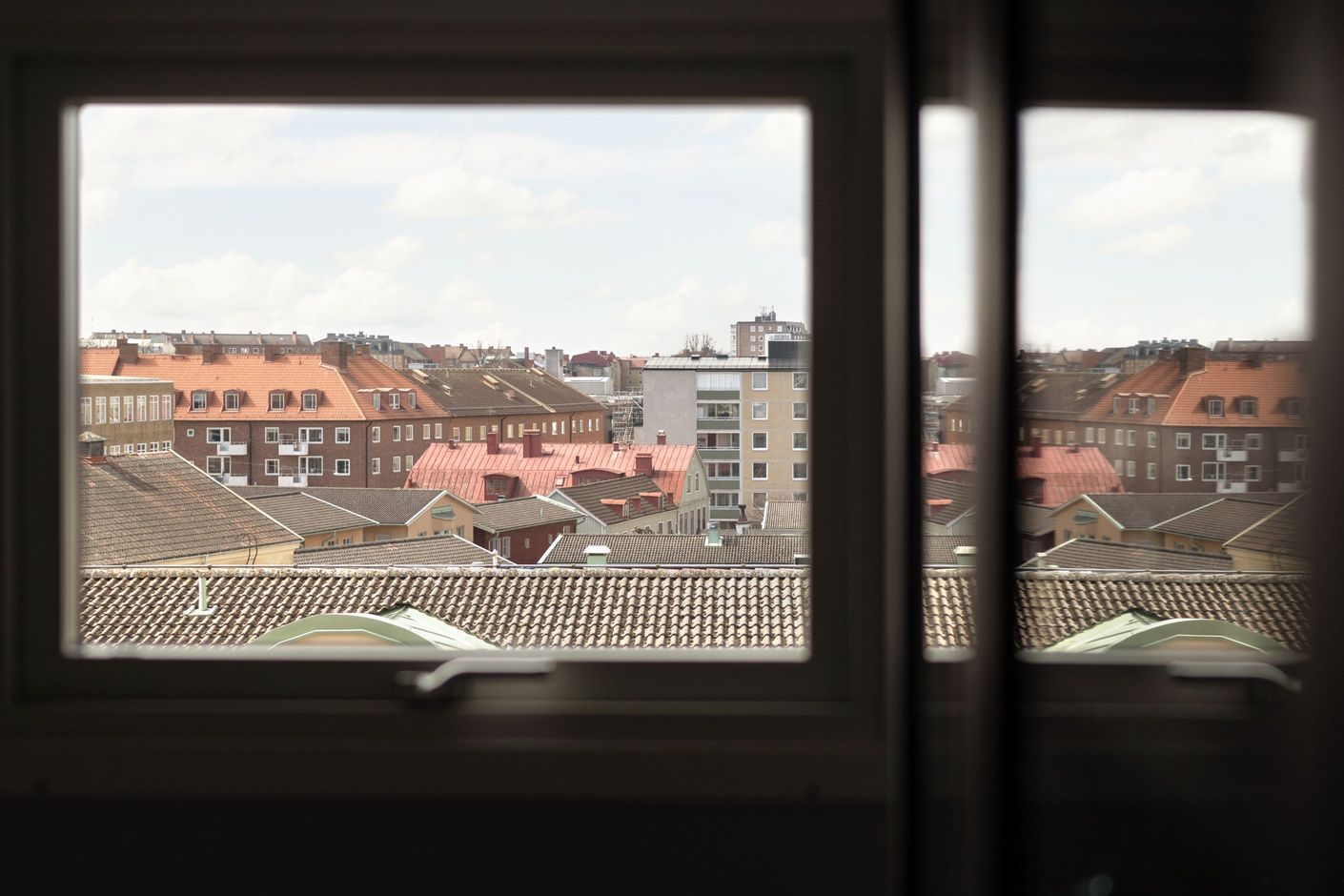 Utsikt över takåsarna