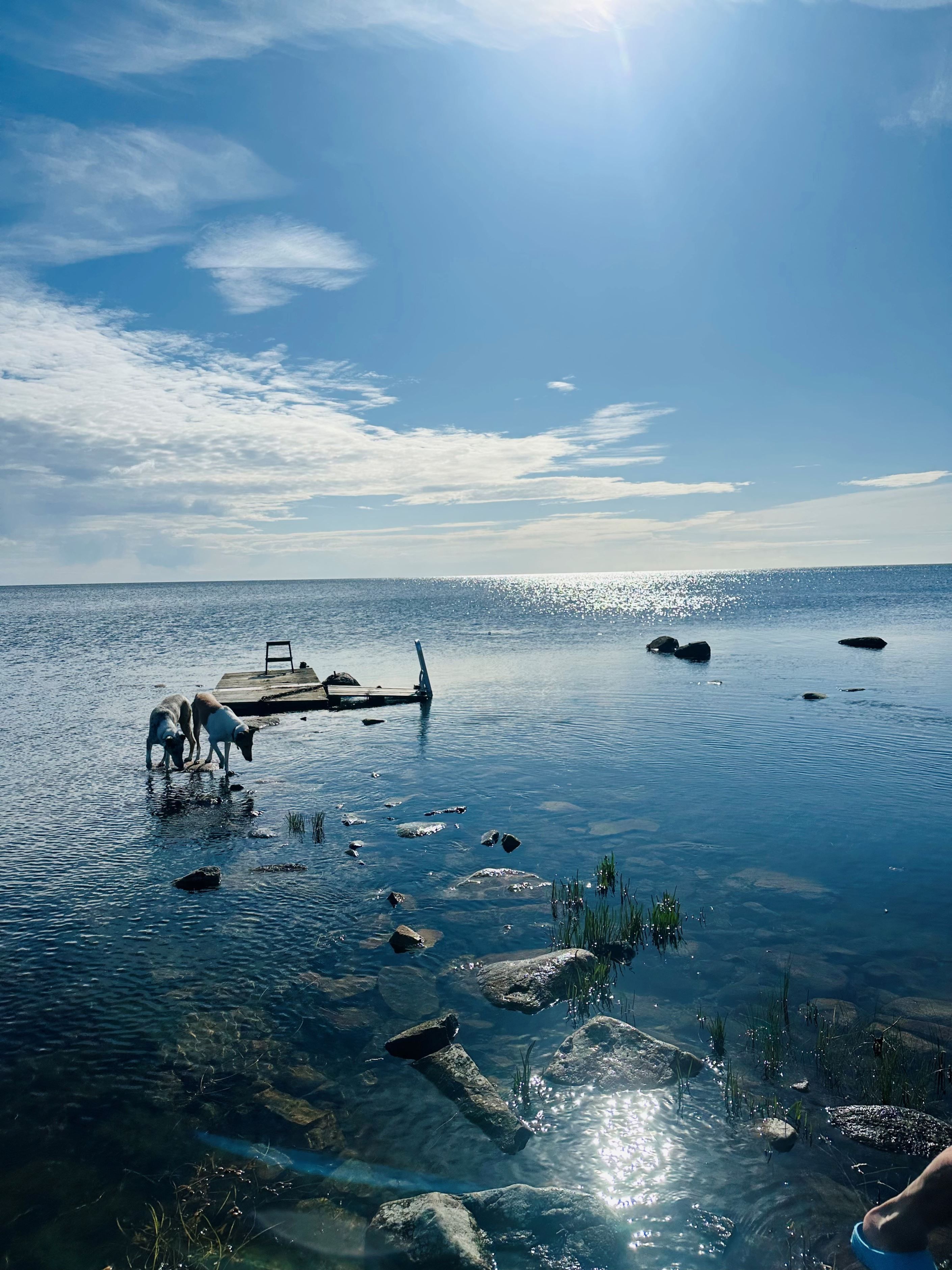 Säljarens egna bilder