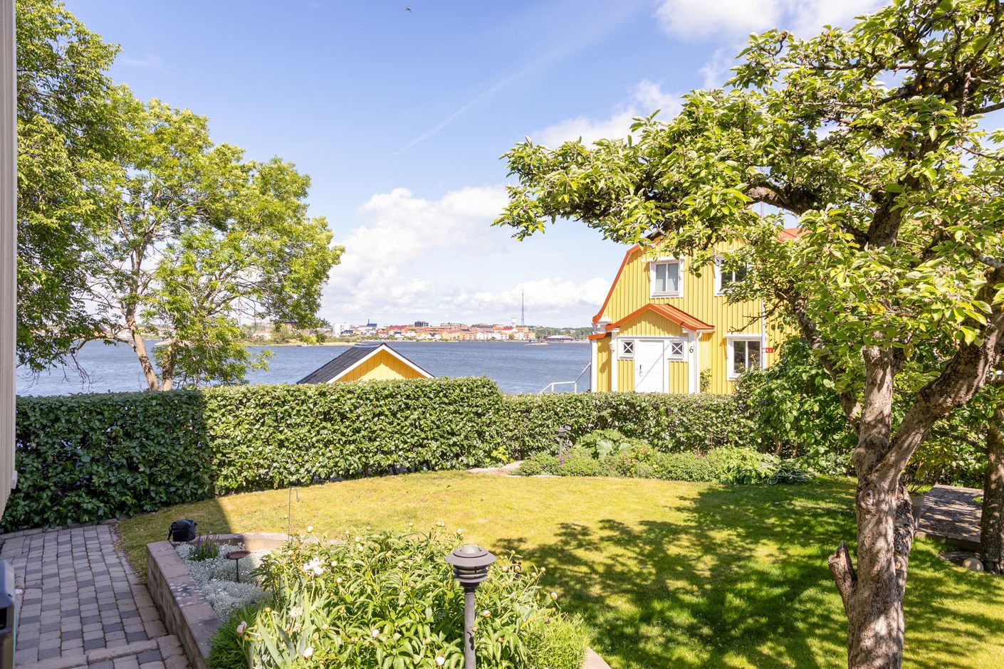 Trädgård