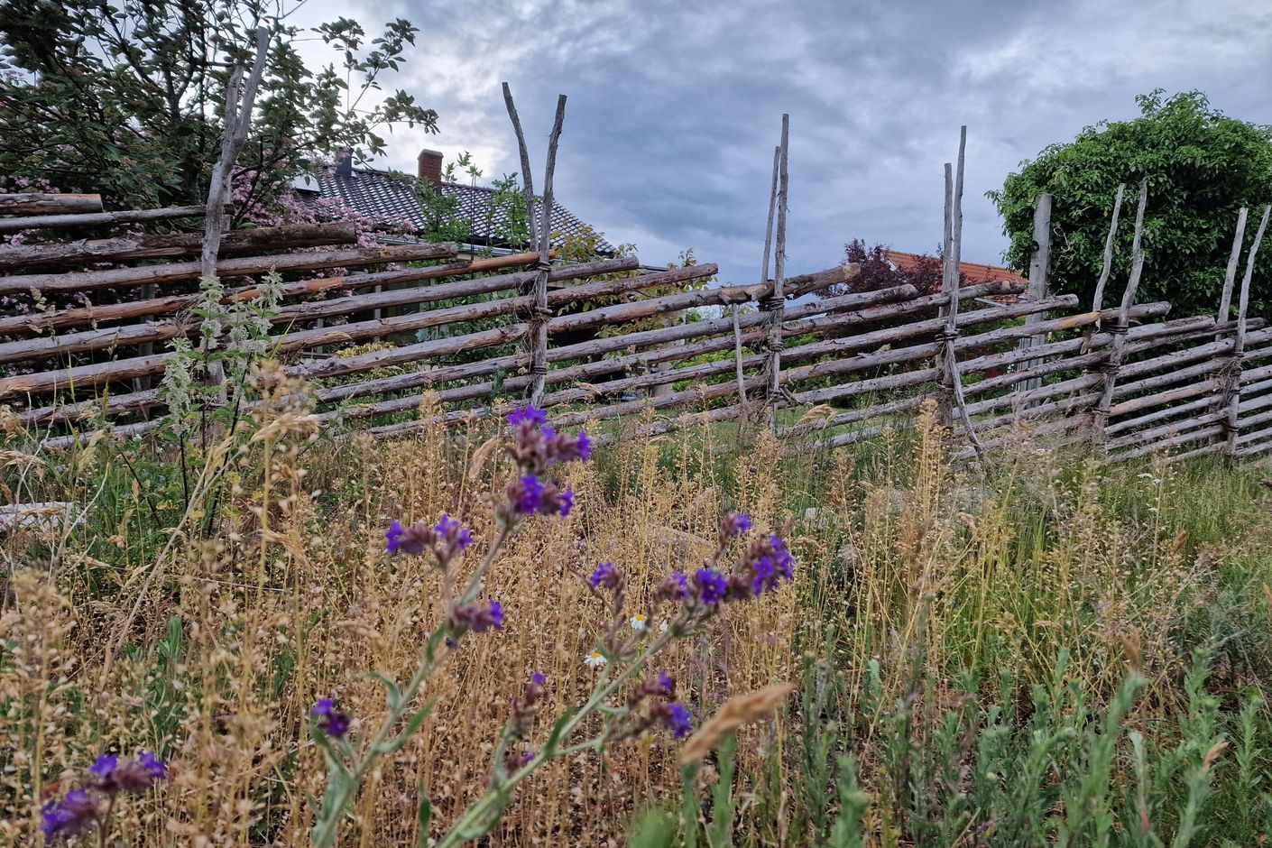 Säljarens sommarbilder