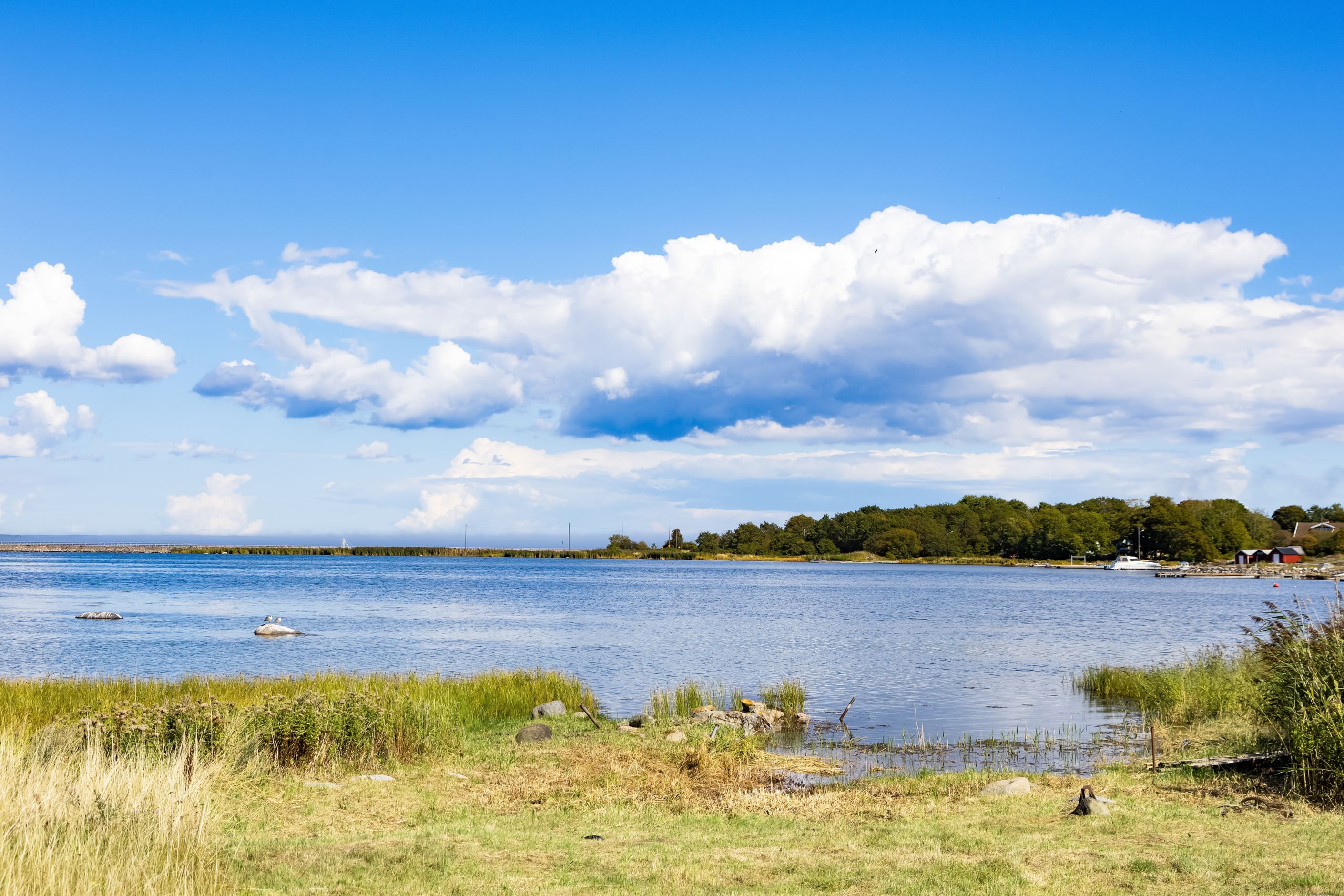 Närhet till havet, kåsan vid Hallahamnen