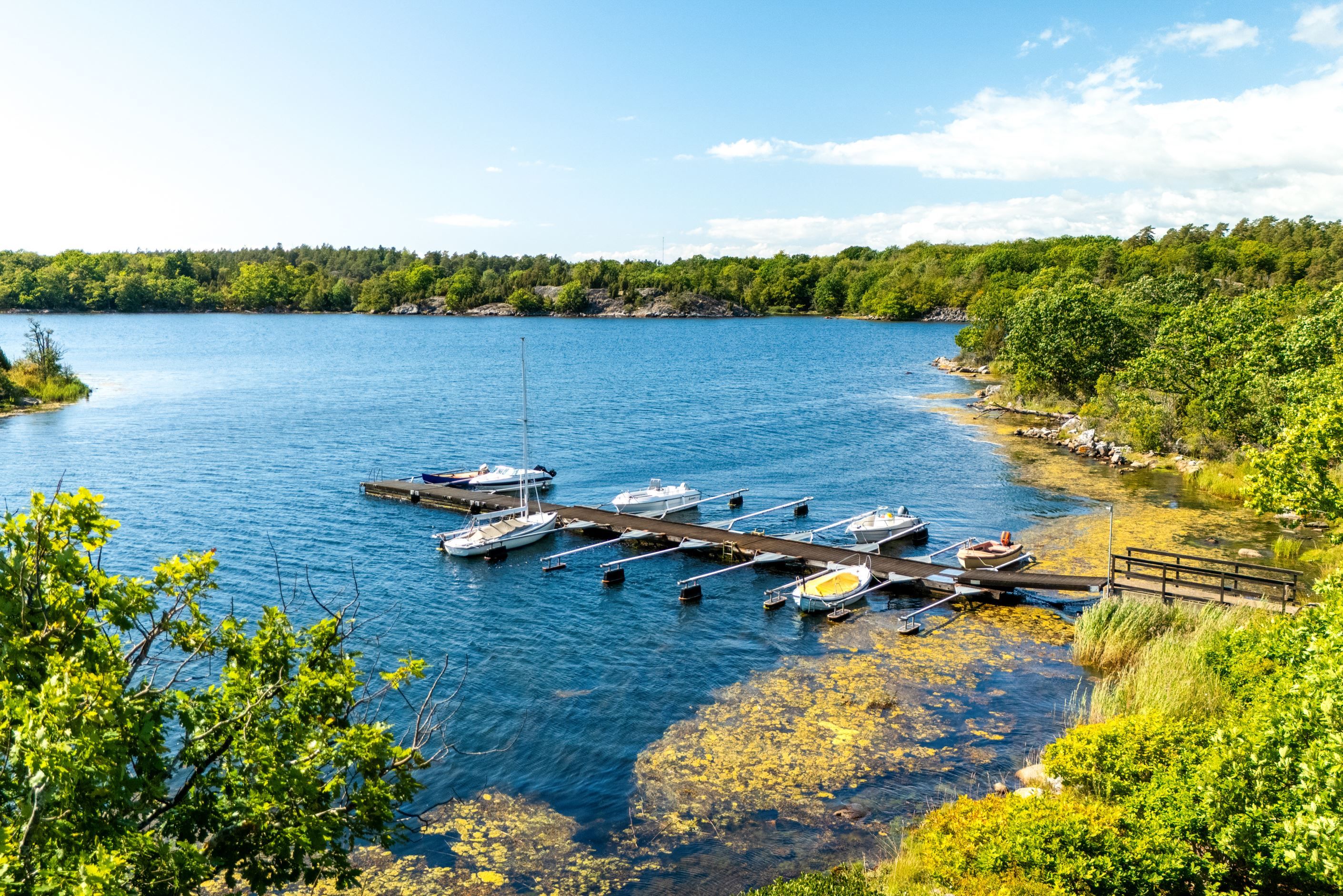 Gästhamn i området