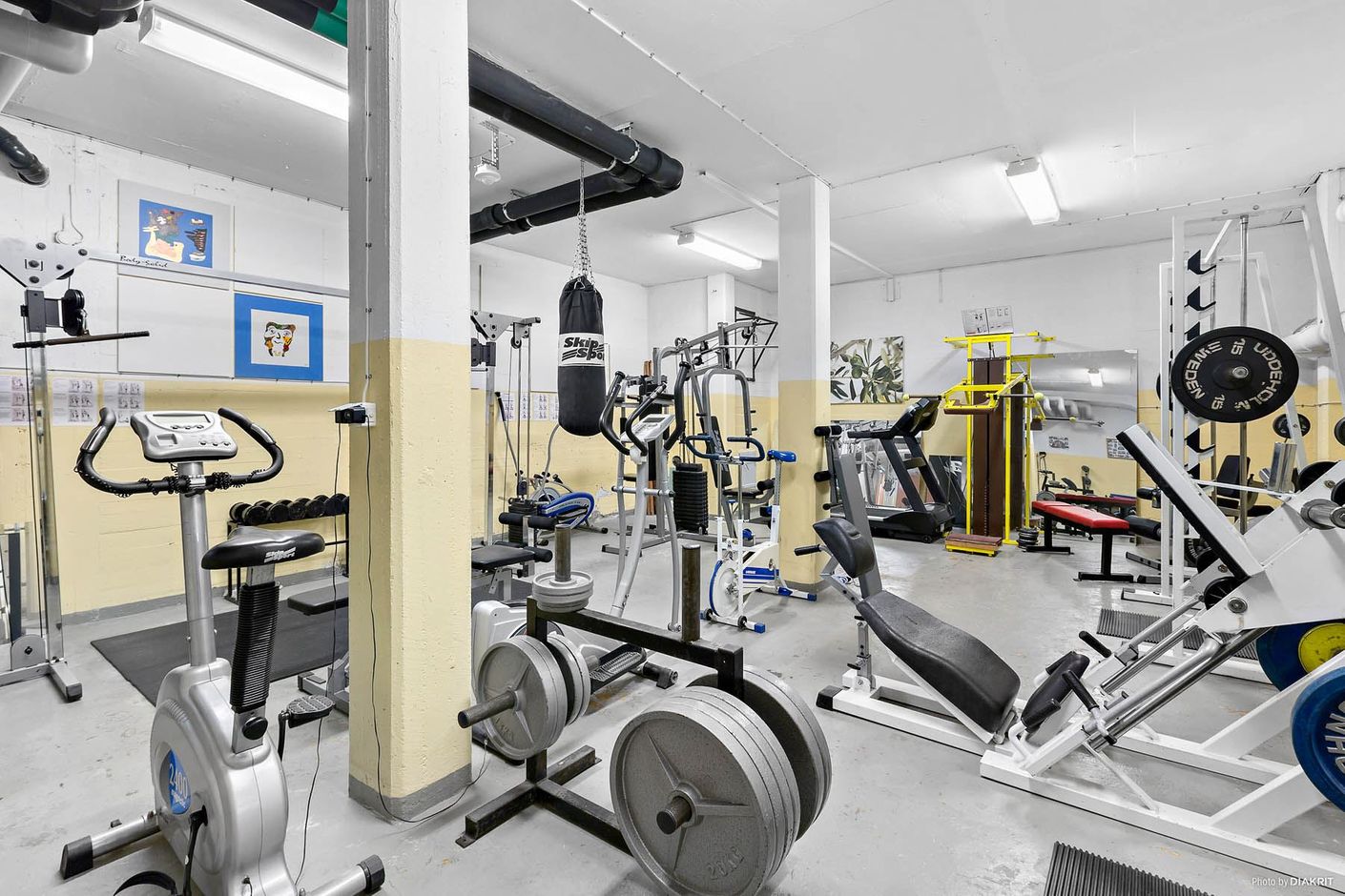 Föreningens gym