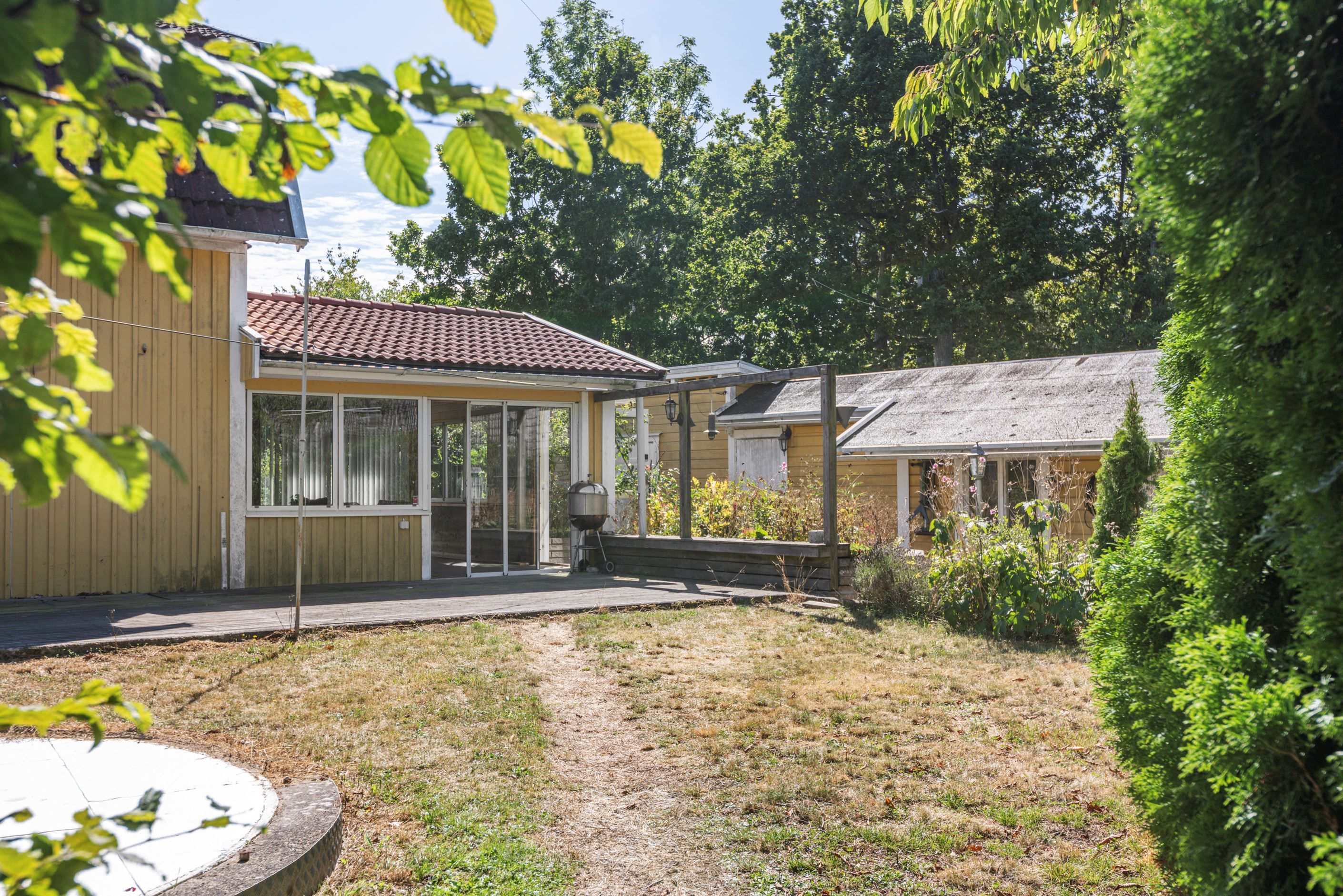 Trädgård