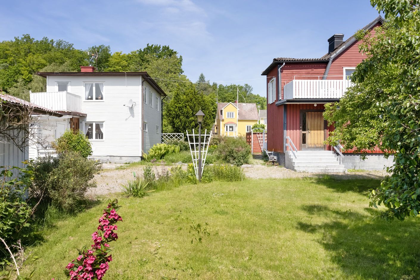 Trädgård