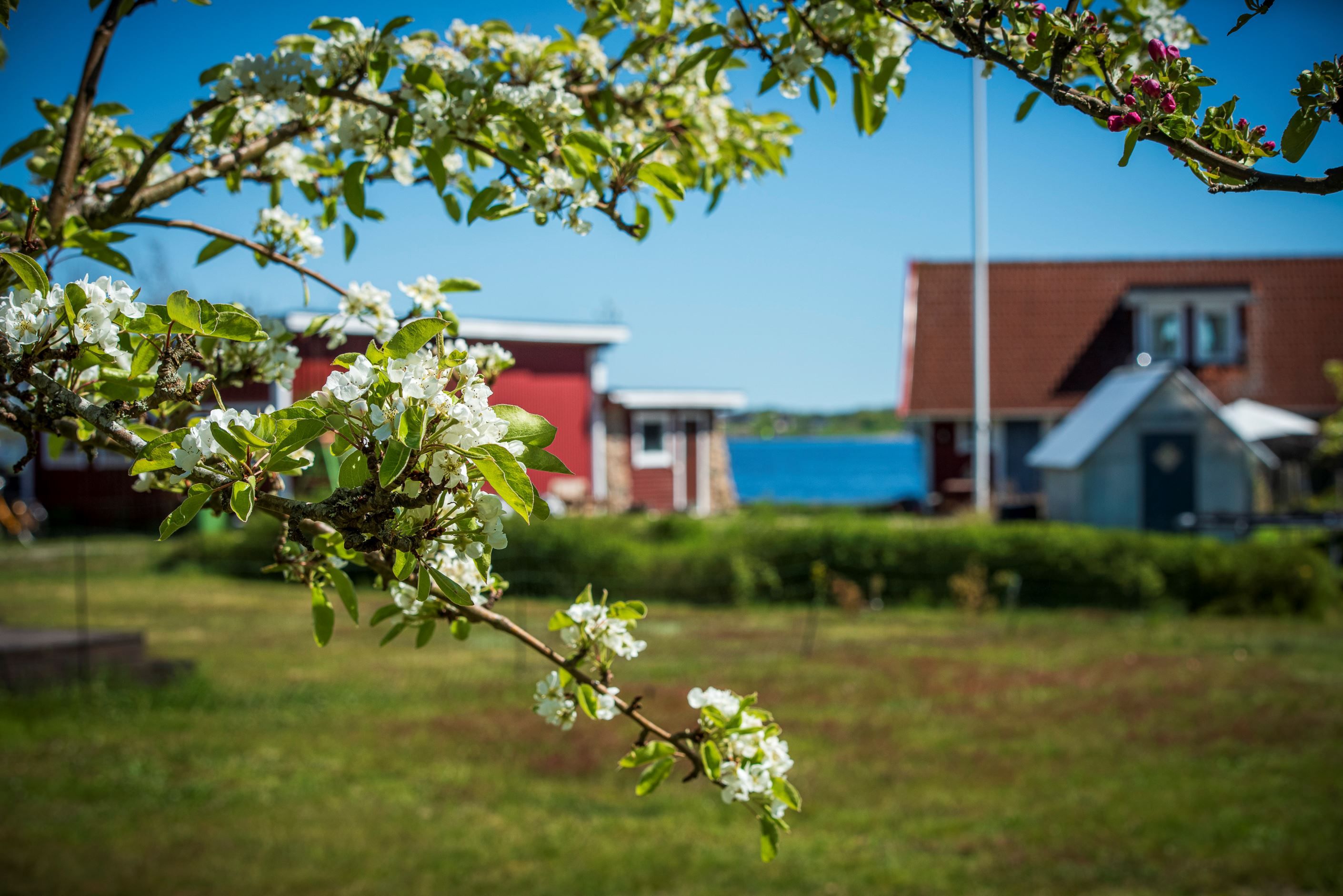 Detaljbild