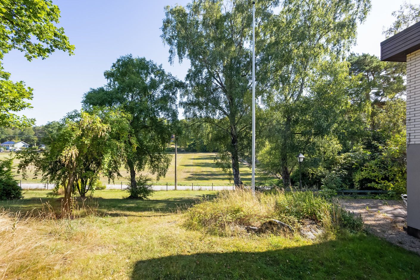 Trädgård