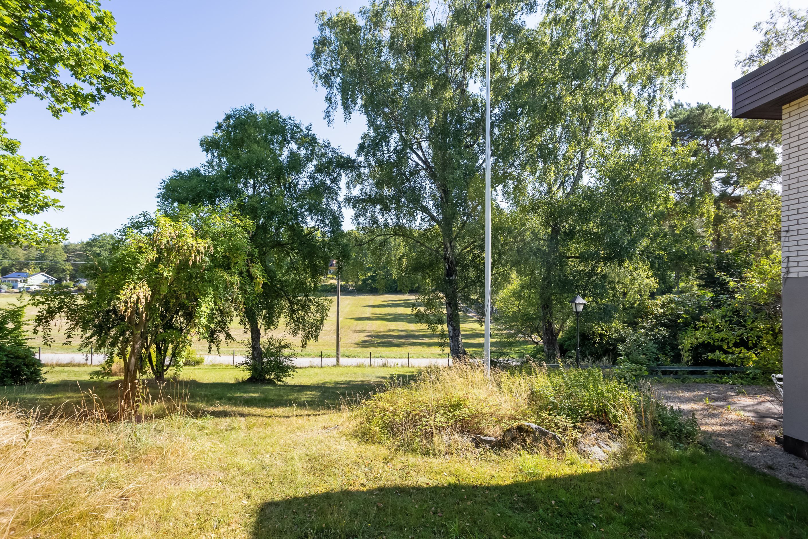 Trädgård