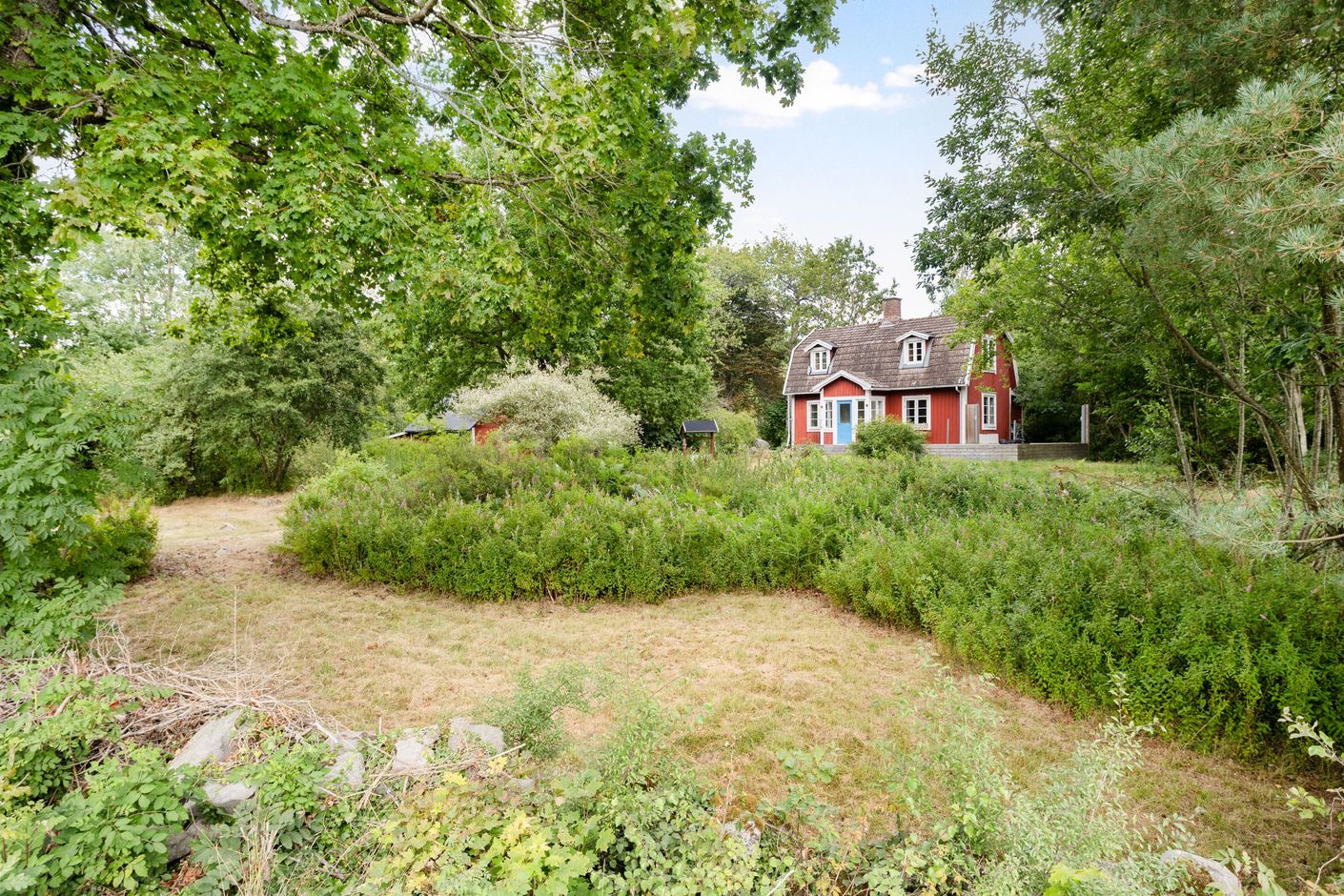 Trädgård