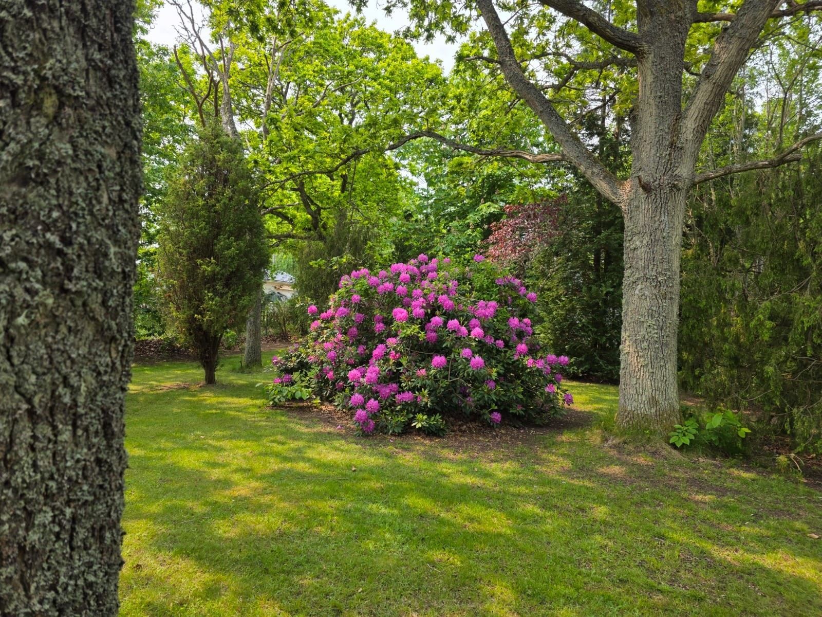 Säljarens egna sommarbilder