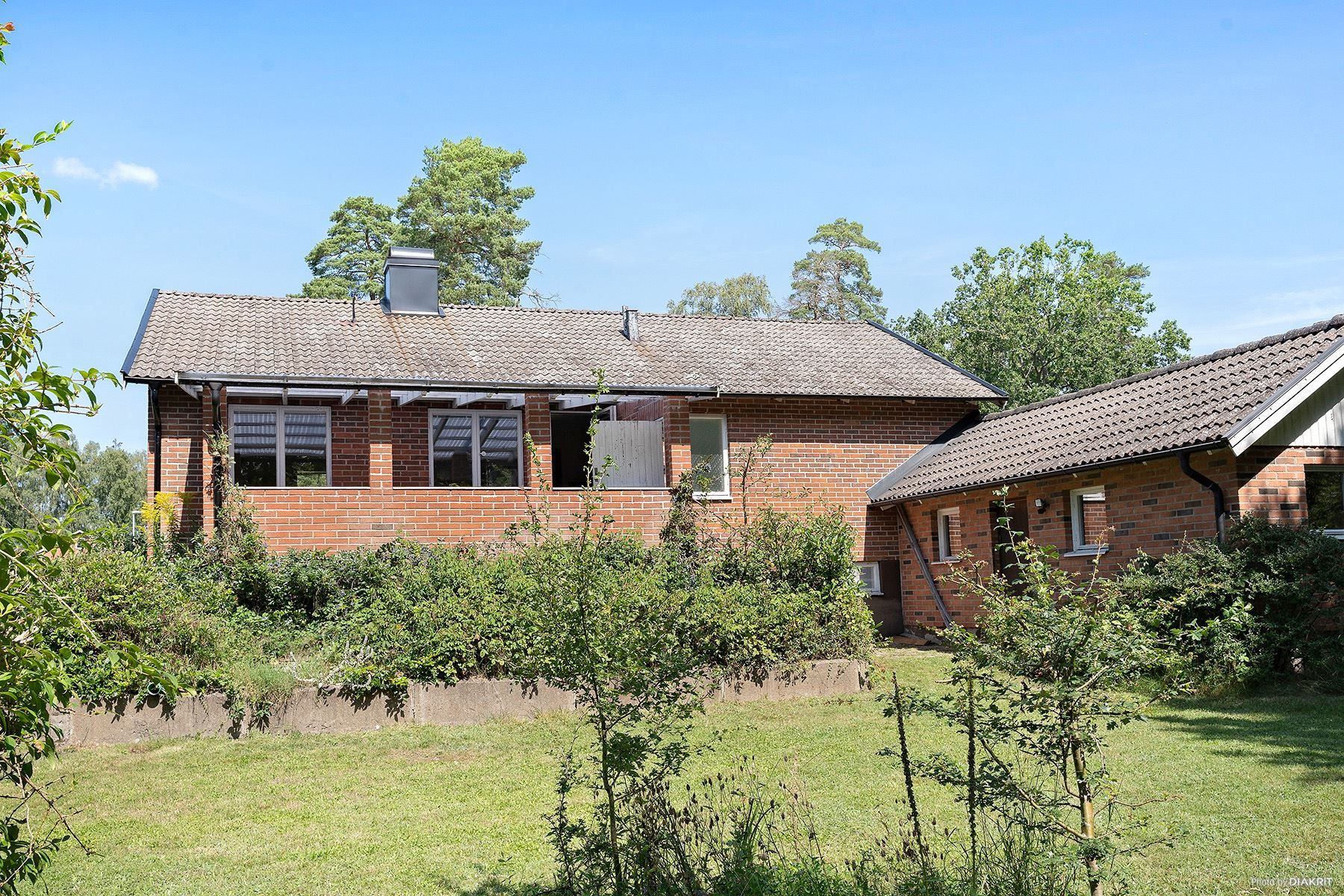 Trädgård