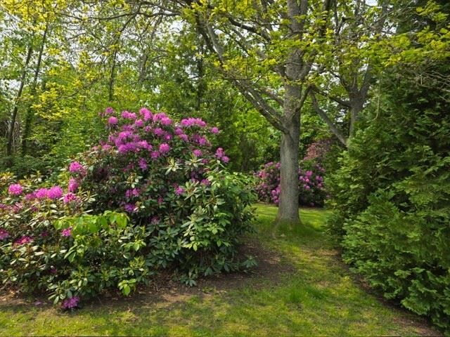 Säljarens egna sommarbilder
