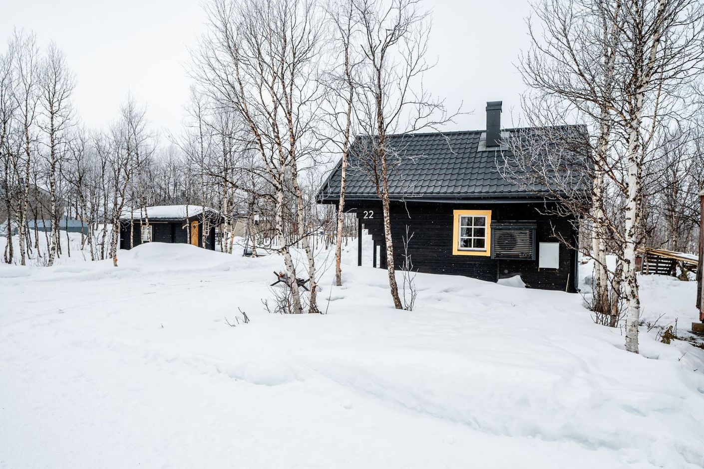 Exteriör