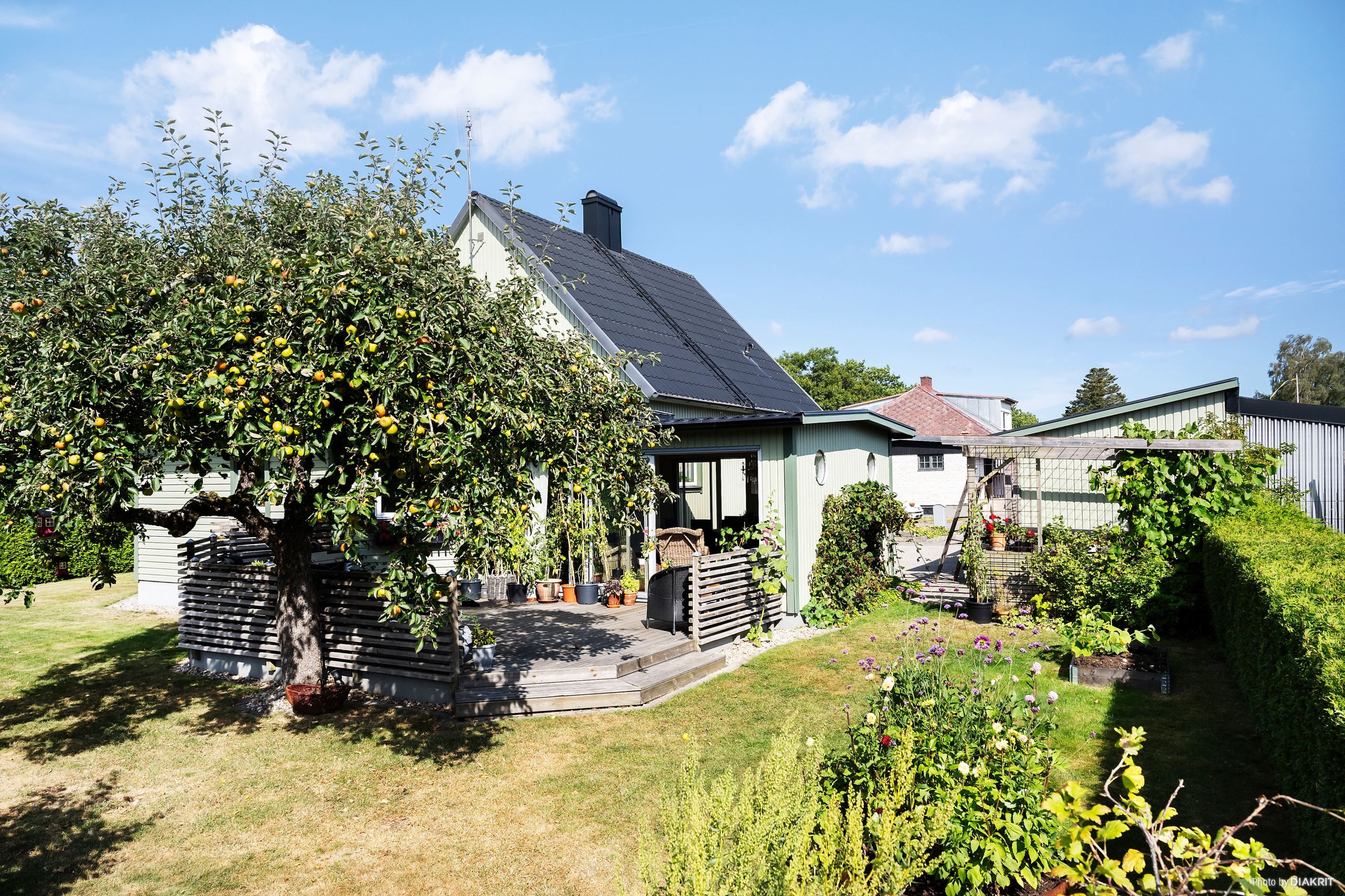 Exteriör