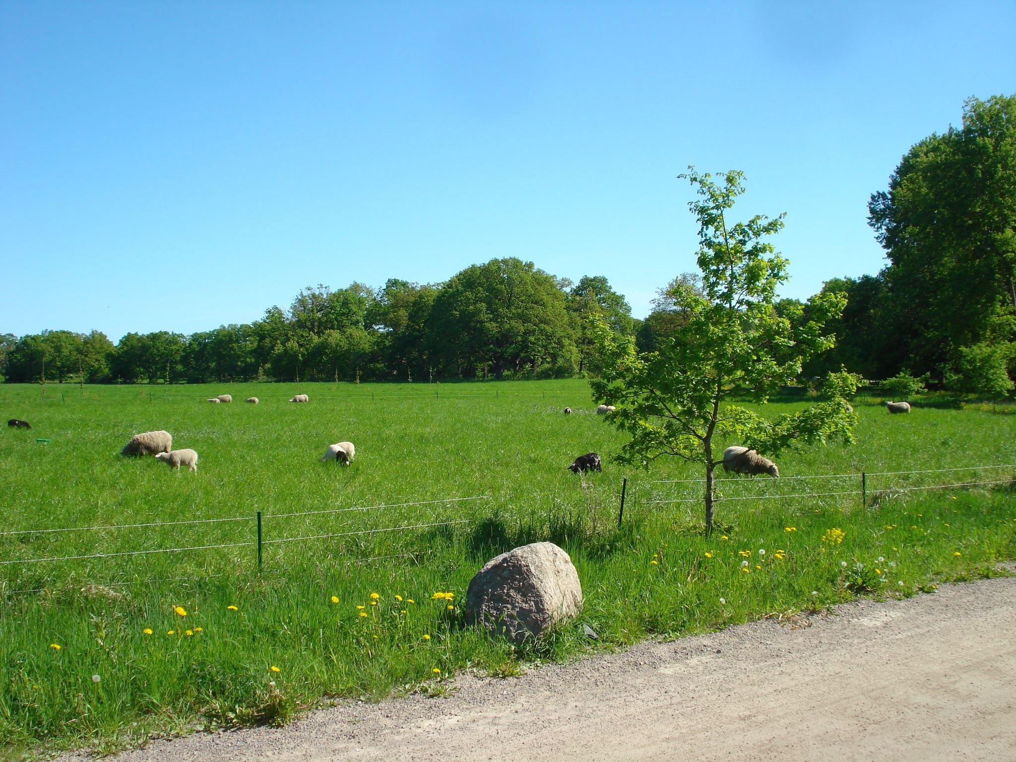 omgivningar