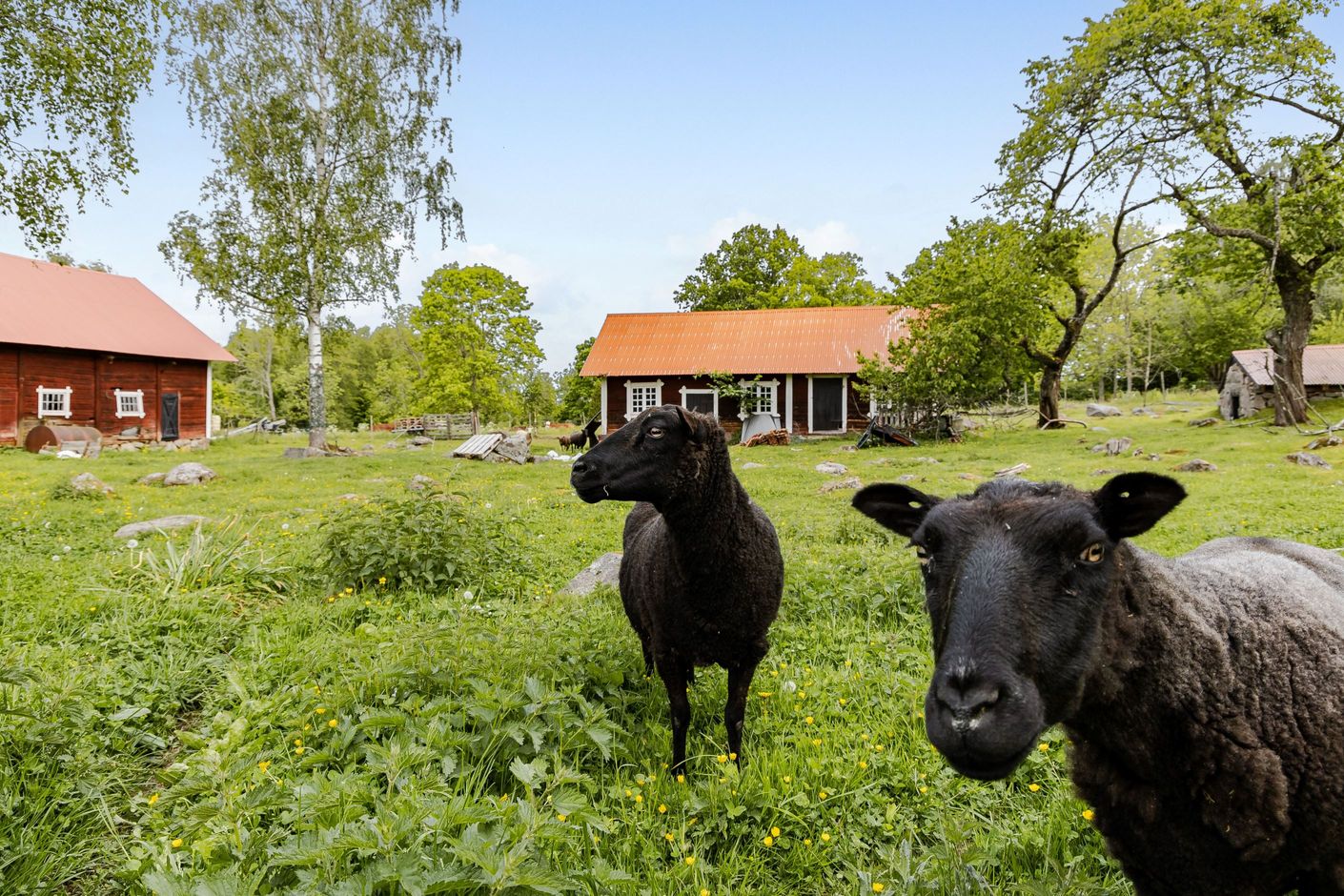 Områdesbild
