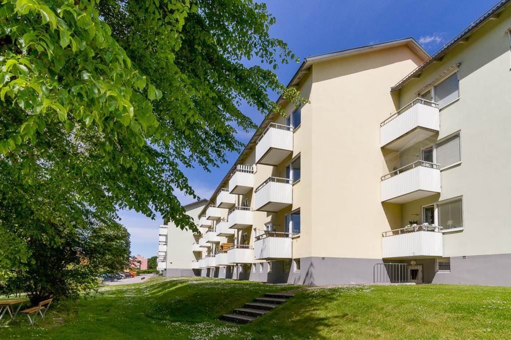 Underbar trädgård