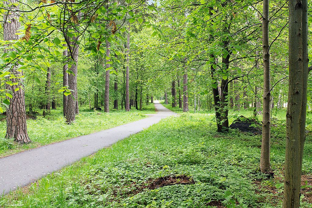 Grönområdet utanför
