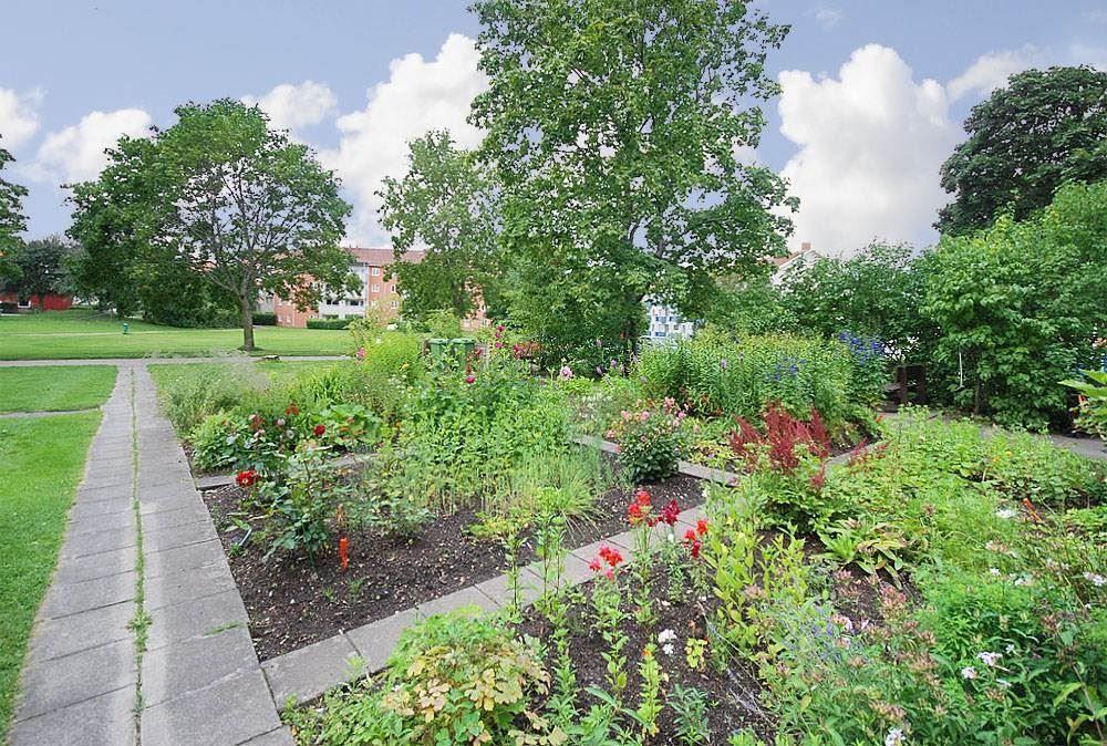 Mysig innergård med odlingar