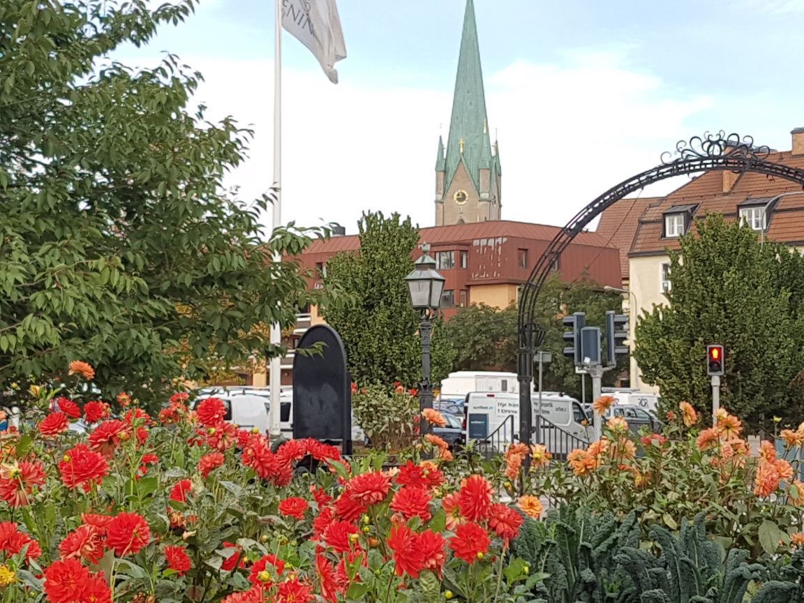 Trädgårdsgatan från Trädgårdsföreningen