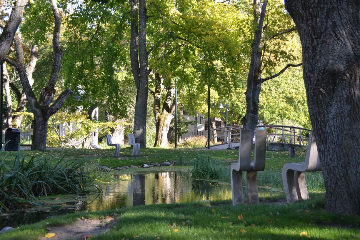 Underbara Trädgårdsföreningen