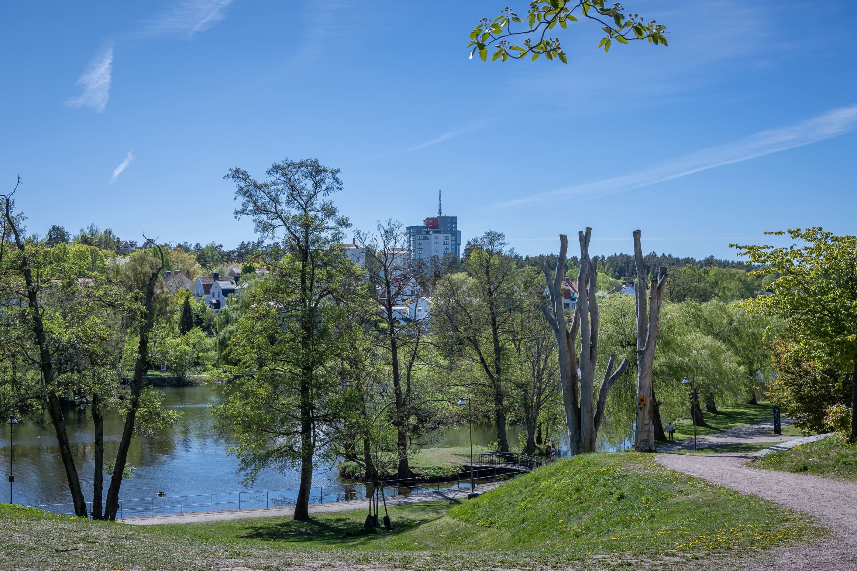 Omgivningen precis nedanför föreningen