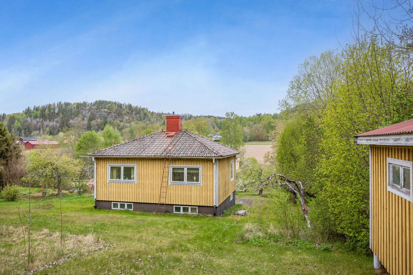 Bildkategori