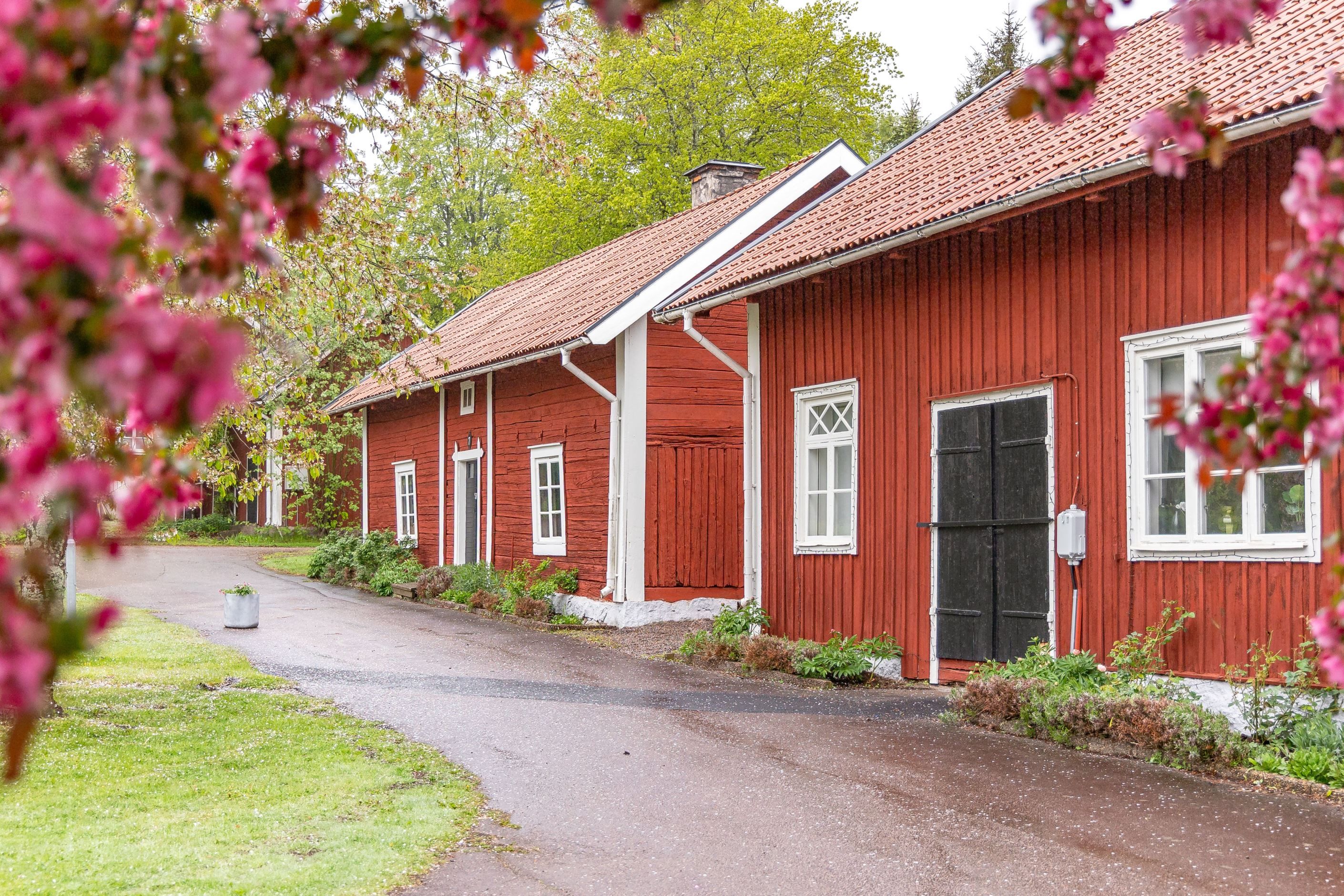 Bildkategori