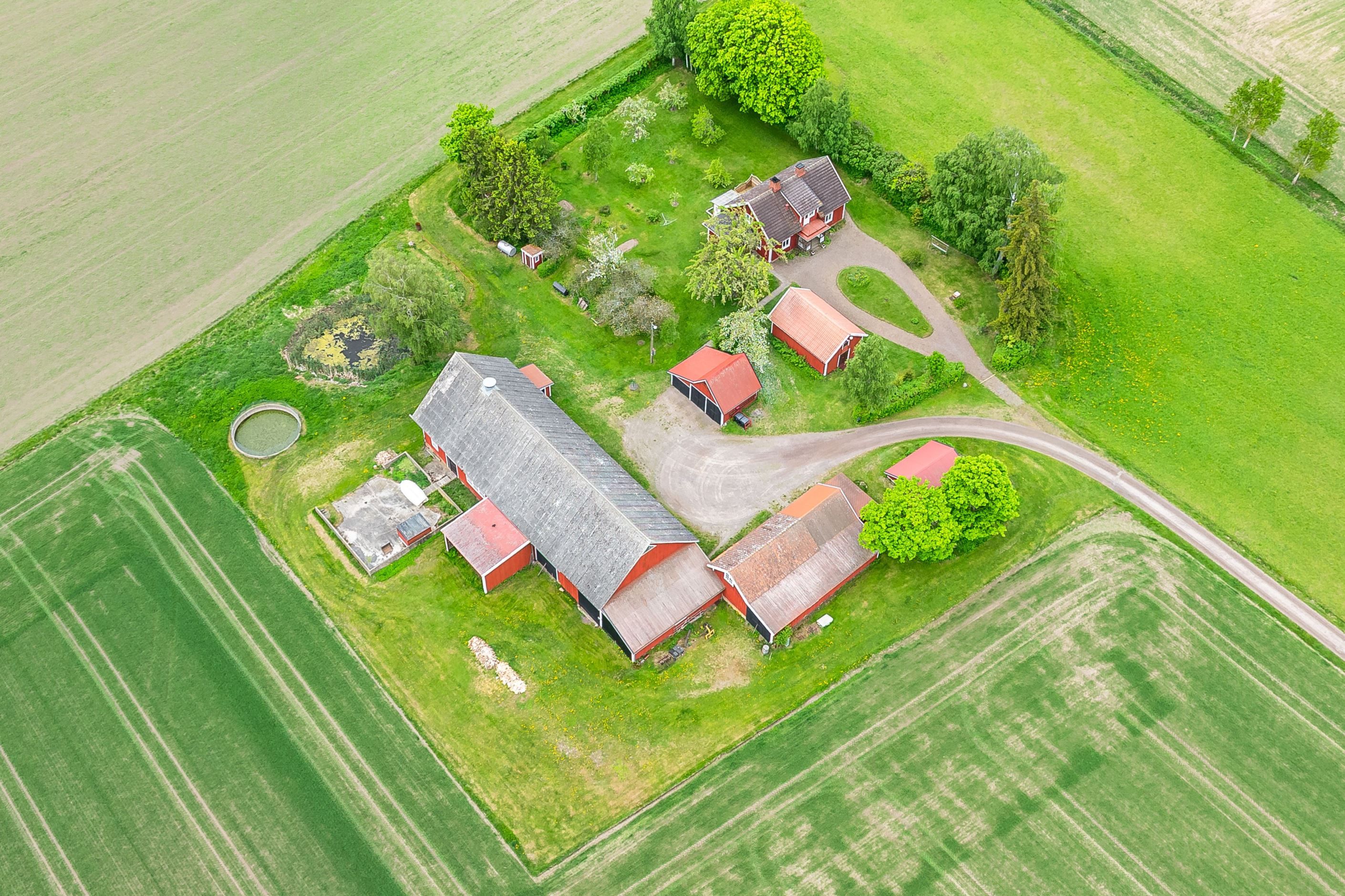 Bildkategori
