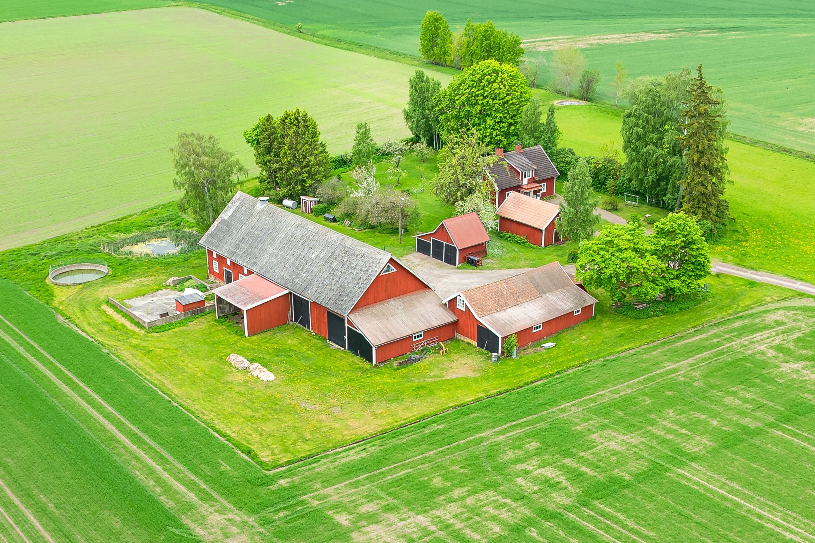 Bildkategori